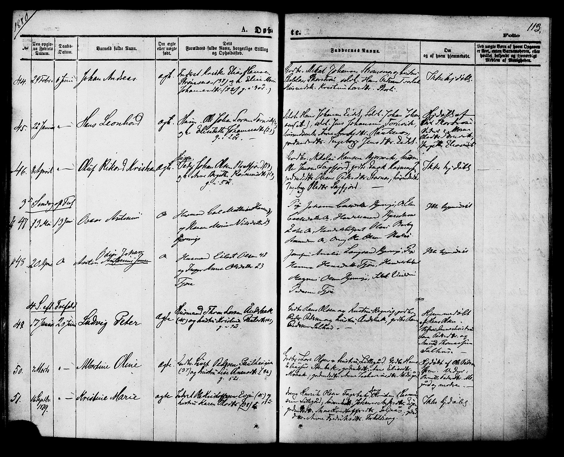 Ministerialprotokoller, klokkerbøker og fødselsregistre - Nordland, AV/SAT-A-1459/853/L0771: Ministerialbok nr. 853A10, 1870-1881, s. 113