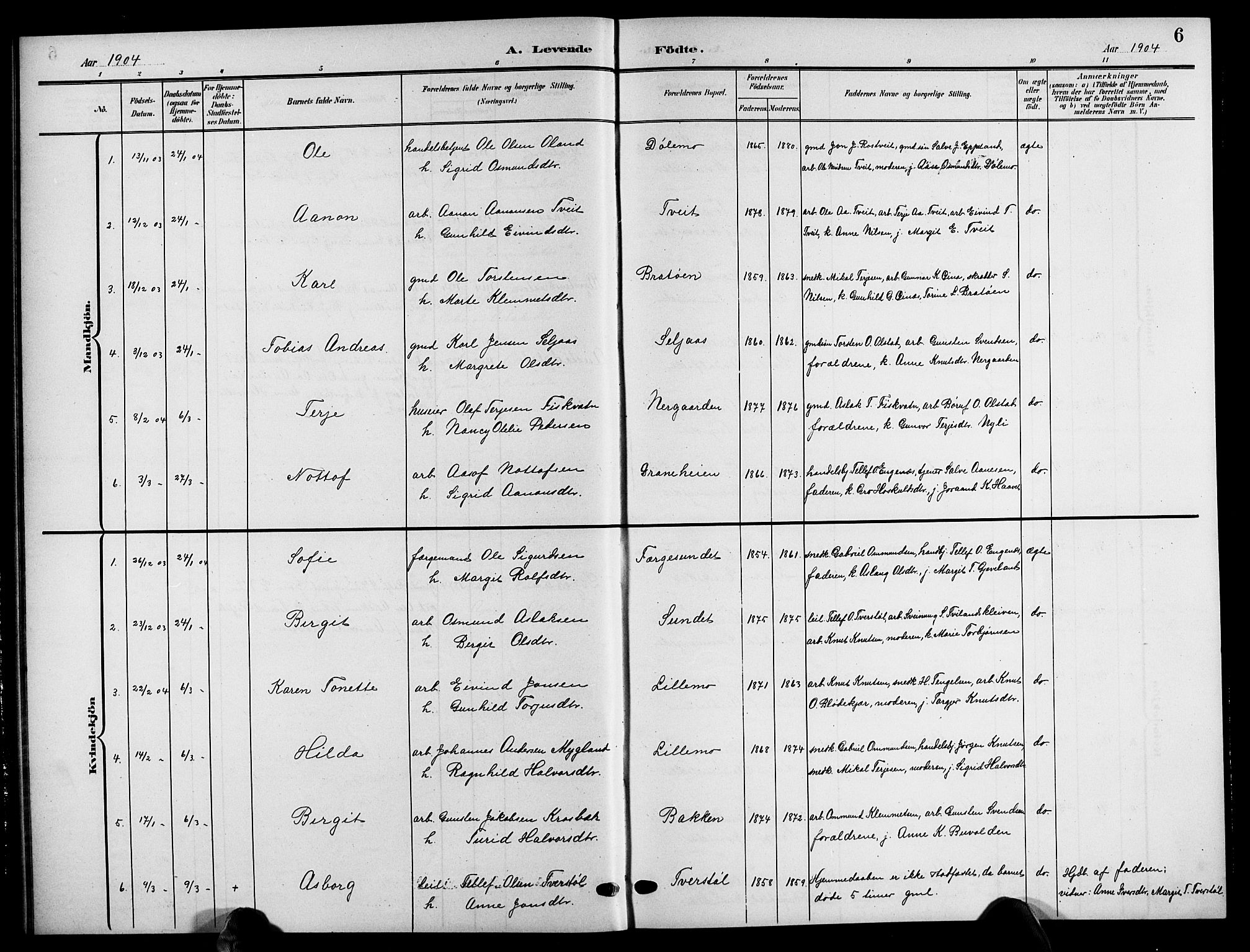 Åmli sokneprestkontor, AV/SAK-1111-0050/F/Fb/Fbc/L0005: Klokkerbok nr. B 5, 1903-1916, s. 6
