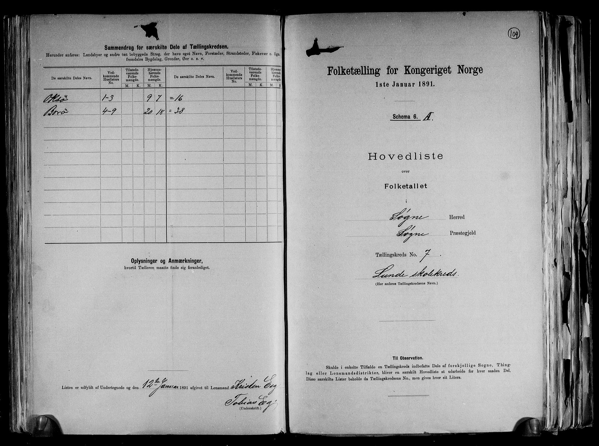 RA, Folketelling 1891 for 1018 Søgne herred, 1891, s. 19