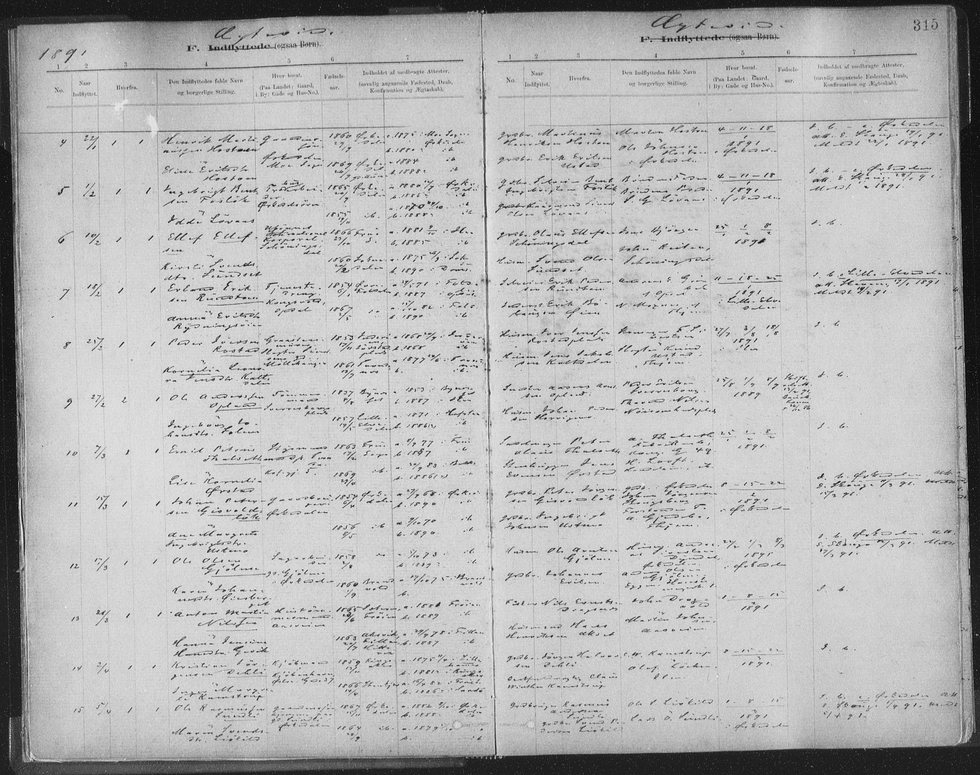 Ministerialprotokoller, klokkerbøker og fødselsregistre - Sør-Trøndelag, SAT/A-1456/603/L0163: Ministerialbok nr. 603A02, 1879-1895, s. 315