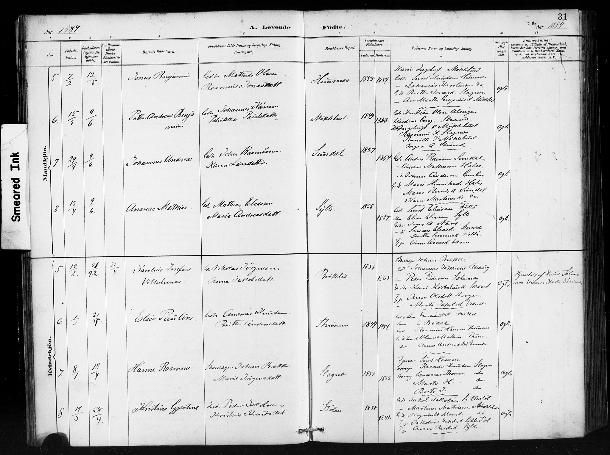 Ministerialprotokoller, klokkerbøker og fødselsregistre - Møre og Romsdal, AV/SAT-A-1454/501/L0008: Ministerialbok nr. 501A08, 1885-1901, s. 31