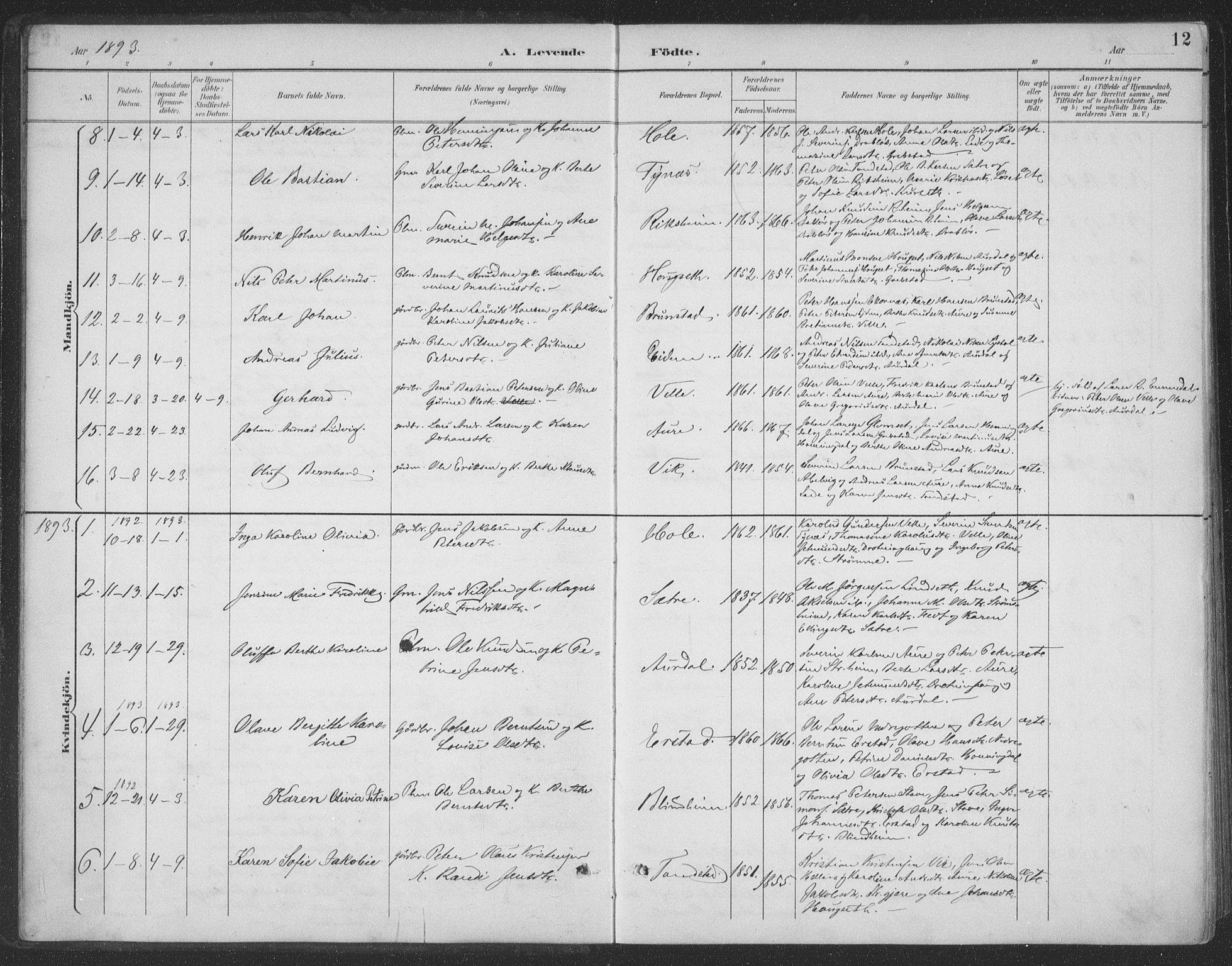 Ministerialprotokoller, klokkerbøker og fødselsregistre - Møre og Romsdal, SAT/A-1454/523/L0335: Ministerialbok nr. 523A02, 1891-1911, s. 12