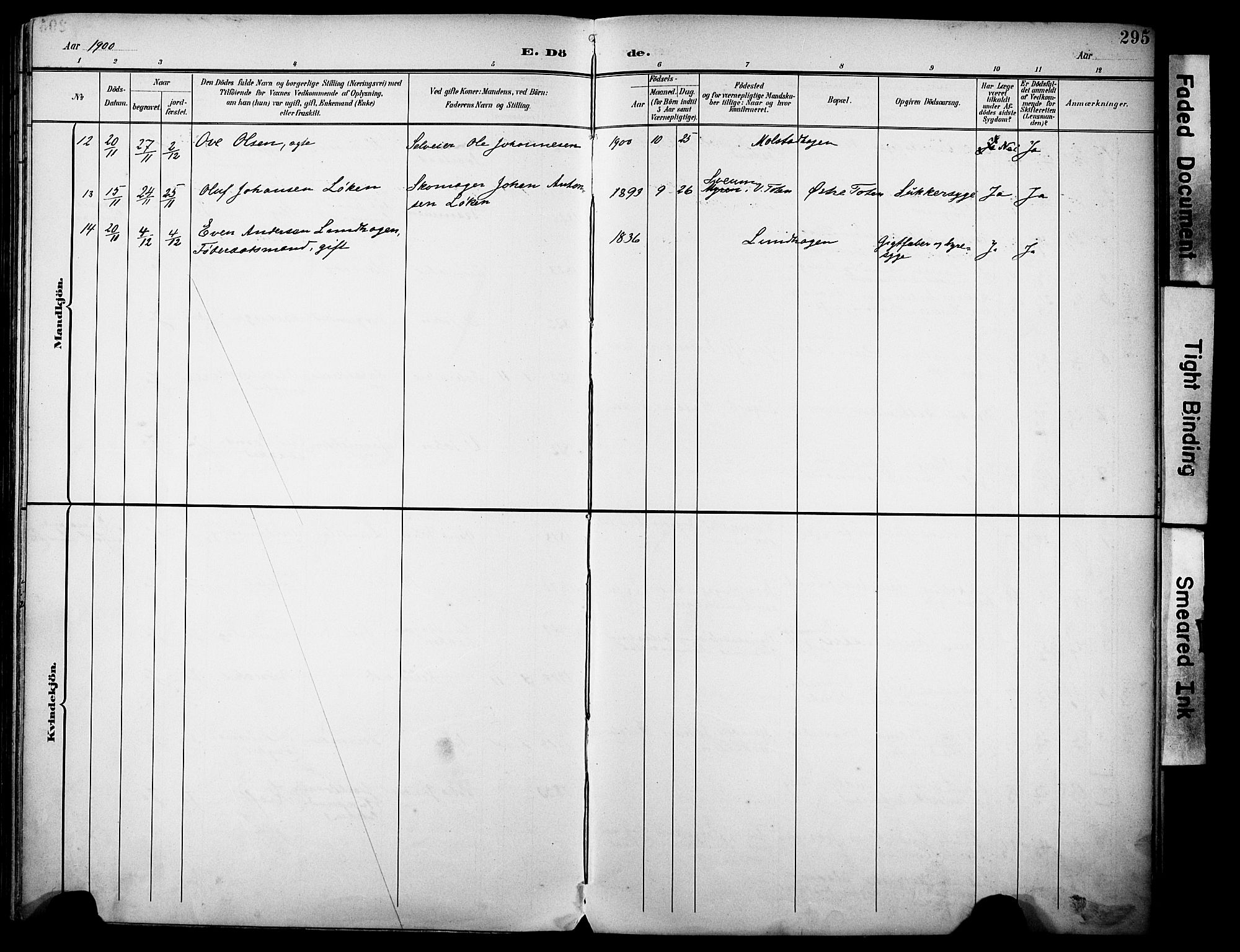 Vestre Toten prestekontor, SAH/PREST-108/H/Ha/Haa/L0013: Ministerialbok nr. 13, 1895-1911, s. 295