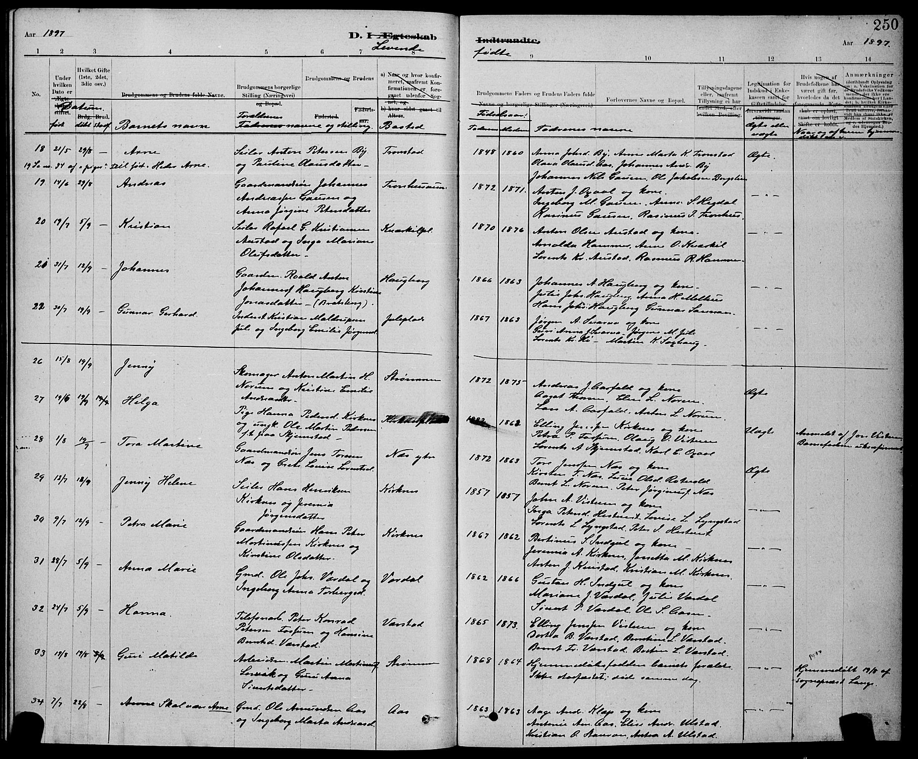 Ministerialprotokoller, klokkerbøker og fødselsregistre - Nord-Trøndelag, AV/SAT-A-1458/730/L0301: Klokkerbok nr. 730C04, 1880-1897, s. 250