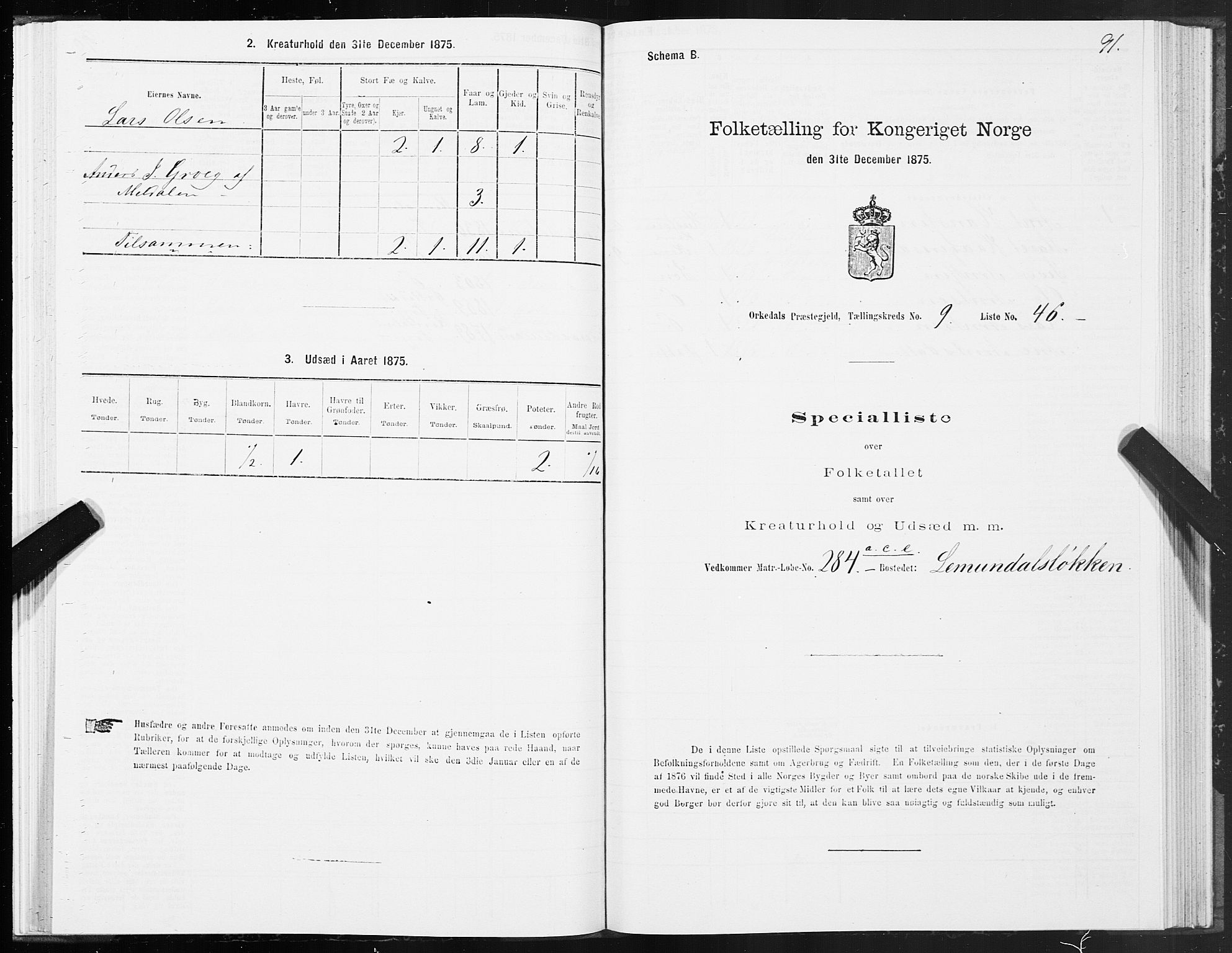 SAT, Folketelling 1875 for 1638P Orkdal prestegjeld, 1875, s. 5091
