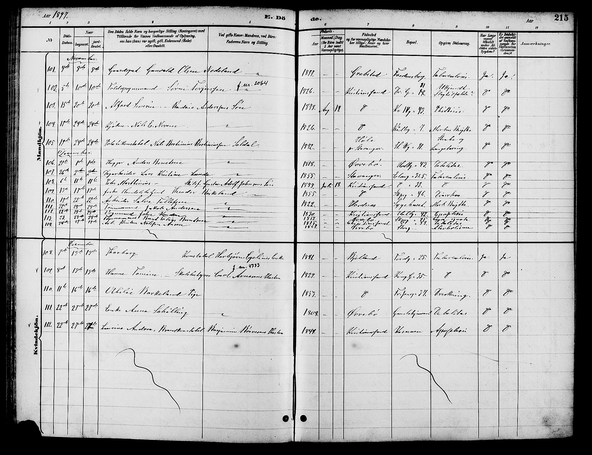 Kristiansand domprosti, AV/SAK-1112-0006/F/Fb/L0017: Klokkerbok nr. B 17, 1893-1906, s. 215