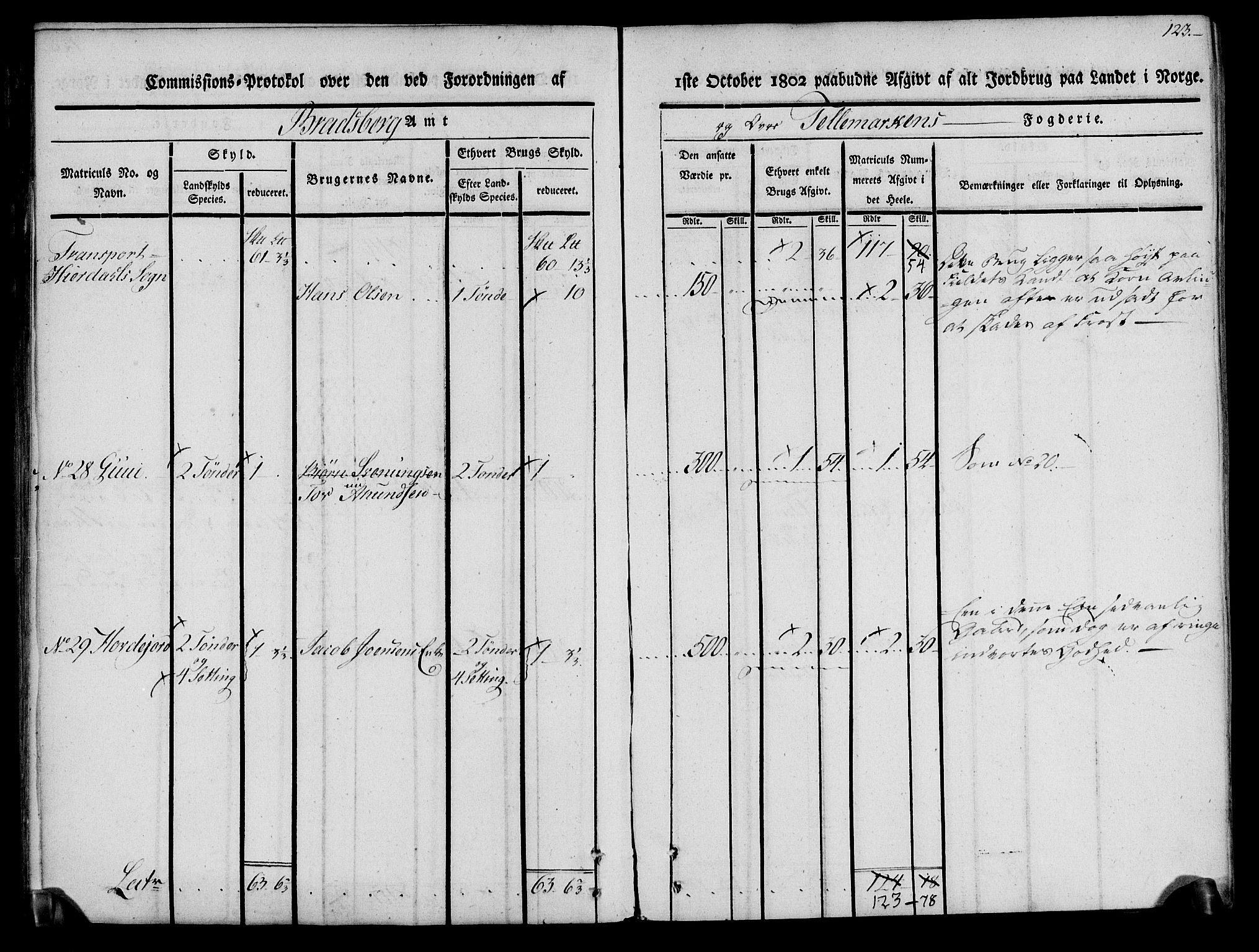 Rentekammeret inntil 1814, Realistisk ordnet avdeling, AV/RA-EA-4070/N/Ne/Nea/L0074: Øvre Telemarken fogderi. Kommisjonsprotokoll for fogderiets østre del - Tinn, Hjartdal og Seljord prestegjeld., 1803, s. 123