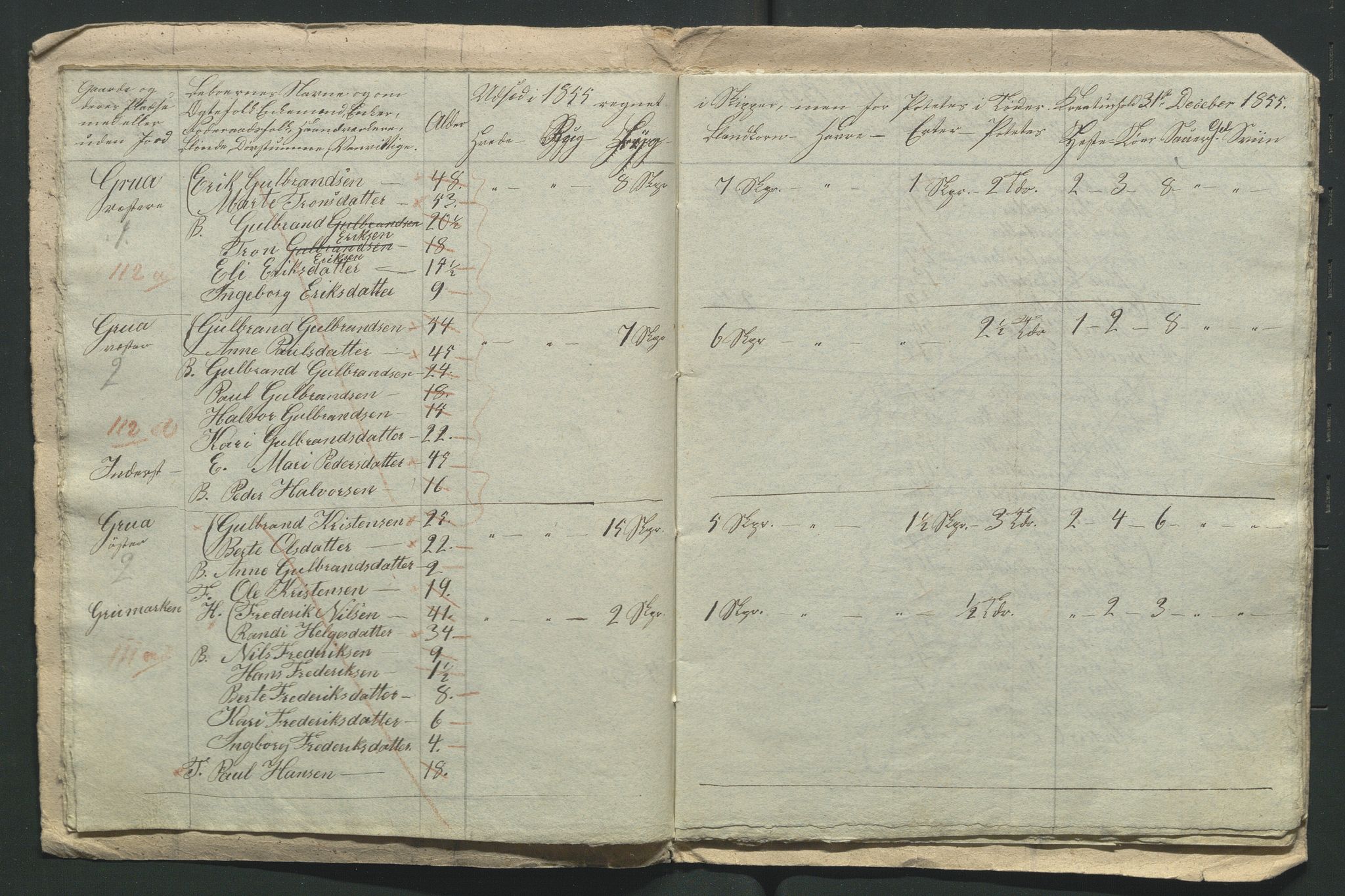 SAH, Lokaliasamlingen for Hedmark og Oppland fylker m.v.: Folketellingen 1855 for Jevnaker prestegjeld, 1855, s. 198