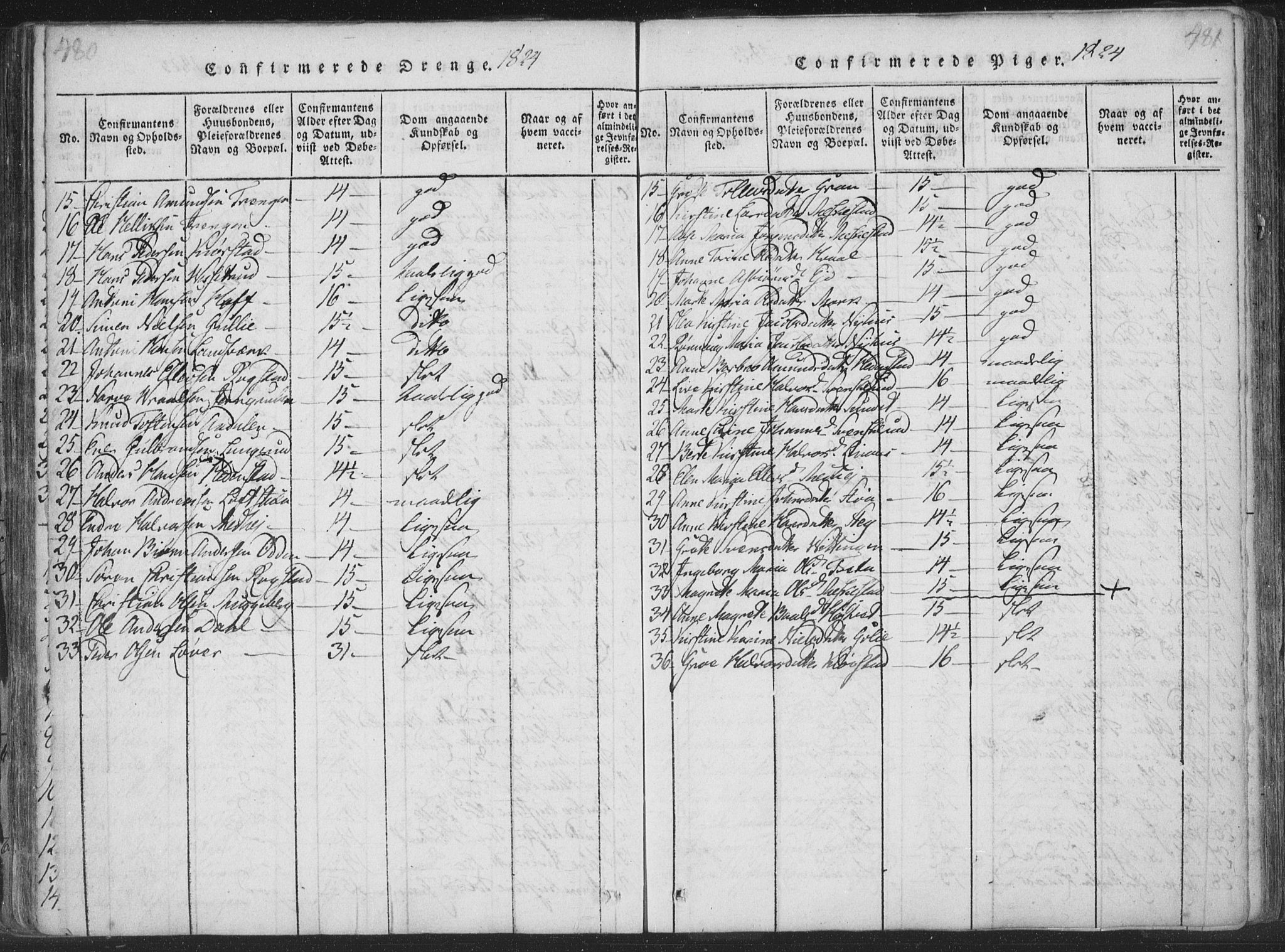 Sandsvær kirkebøker, SAKO/A-244/F/Fa/L0004: Ministerialbok nr. I 4, 1817-1839, s. 480-481