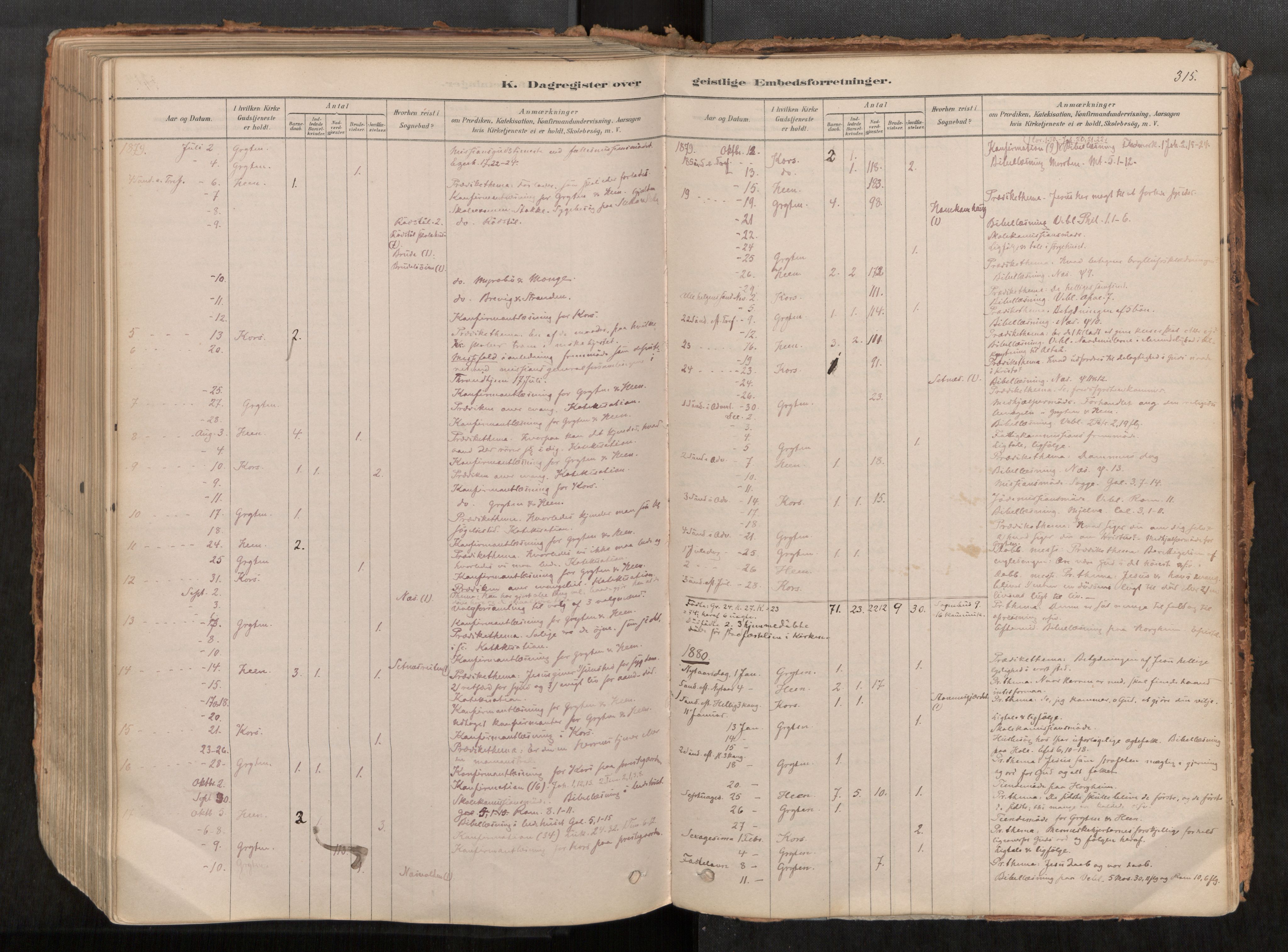 Ministerialprotokoller, klokkerbøker og fødselsregistre - Møre og Romsdal, AV/SAT-A-1454/545/L0594: Ministerialbok nr. 545A03, 1878-1920, s. 315