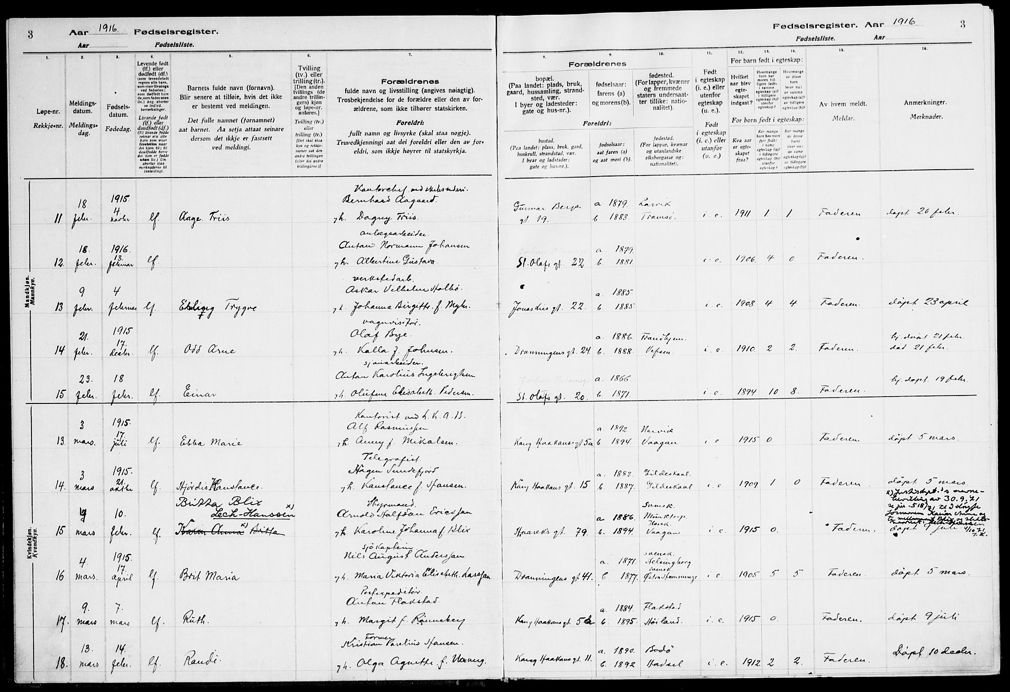 Ministerialprotokoller, klokkerbøker og fødselsregistre - Nordland, AV/SAT-A-1459/871/L1013: Fødselsregister nr. 871.II.4.1, 1916-1924, s. 3