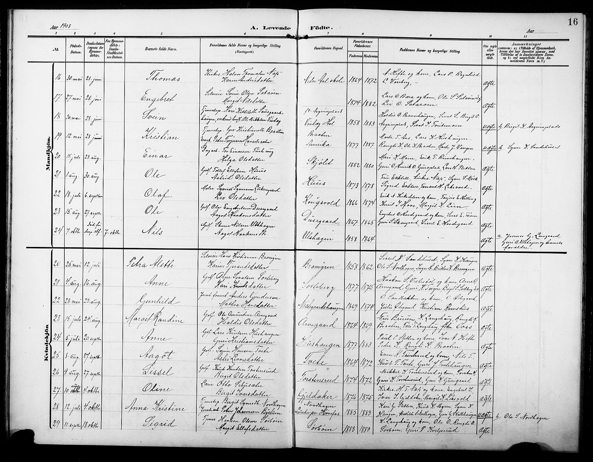 Ål kirkebøker, AV/SAKO-A-249/G/Ga/L0002: Klokkerbok nr. 2, 1904-1928, s. 16