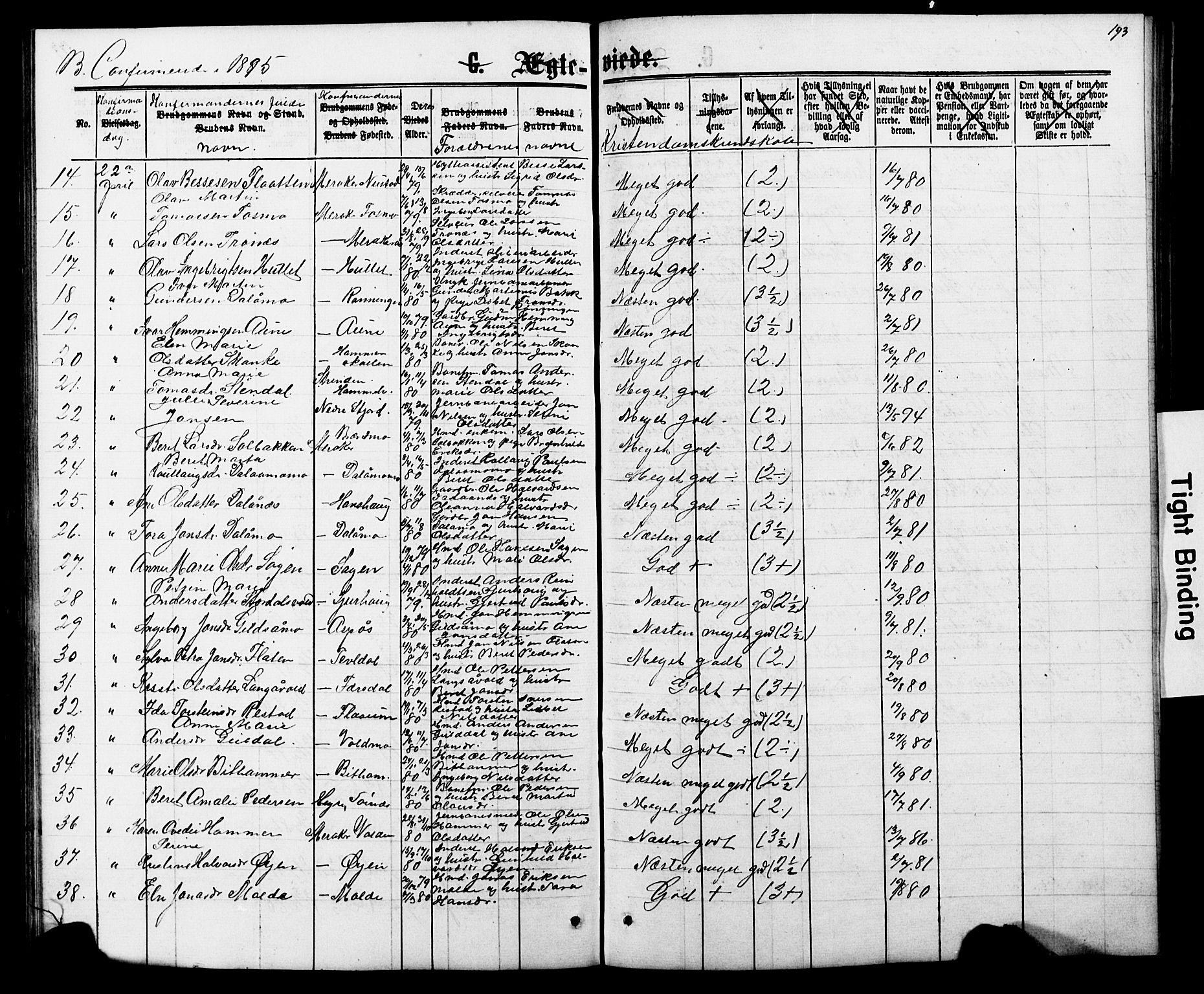 Ministerialprotokoller, klokkerbøker og fødselsregistre - Nord-Trøndelag, SAT/A-1458/706/L0049: Klokkerbok nr. 706C01, 1864-1895, s. 193