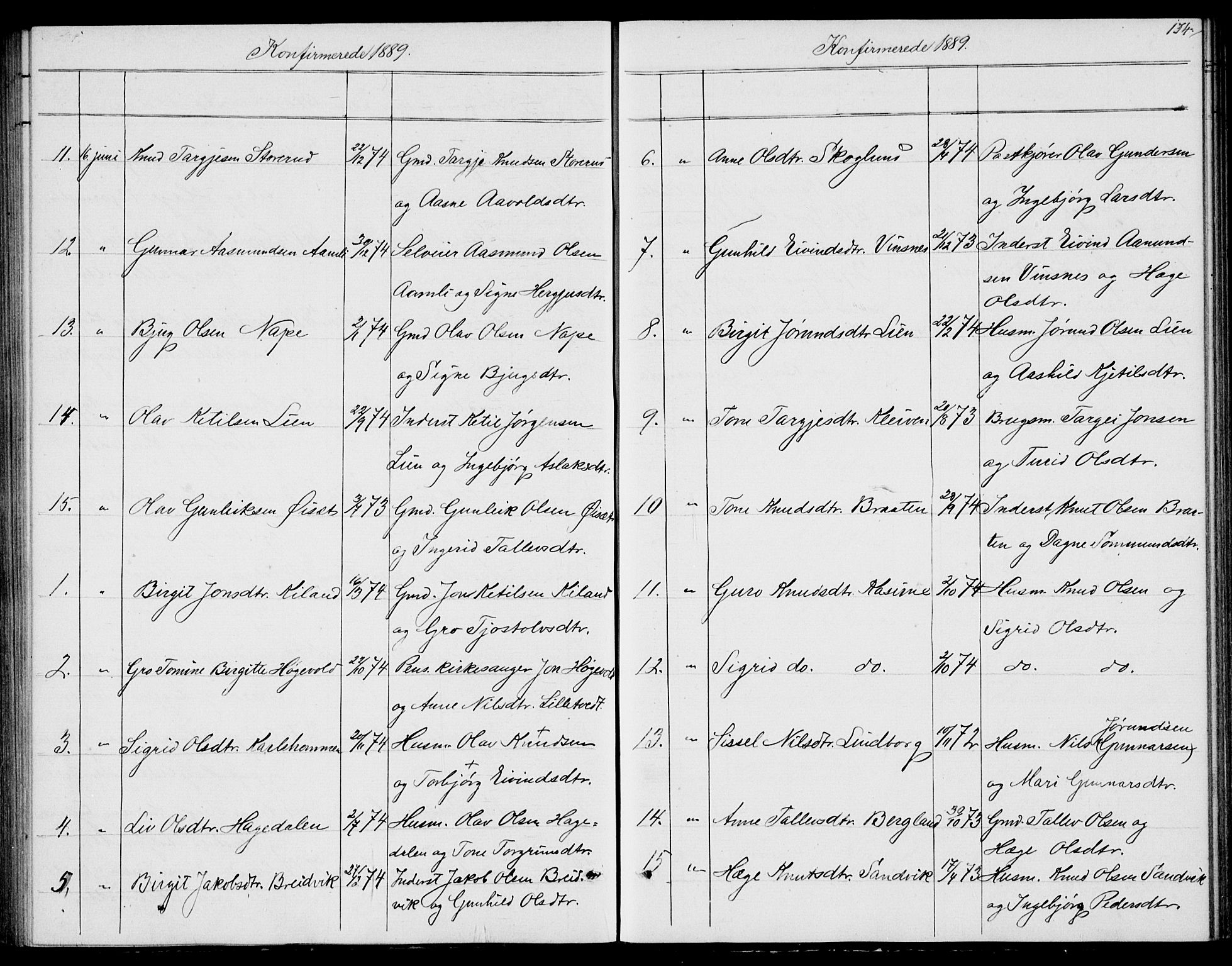 Fyresdal kirkebøker, SAKO/A-263/G/Ga/L0004: Klokkerbok nr. I 4, 1864-1892, s. 134
