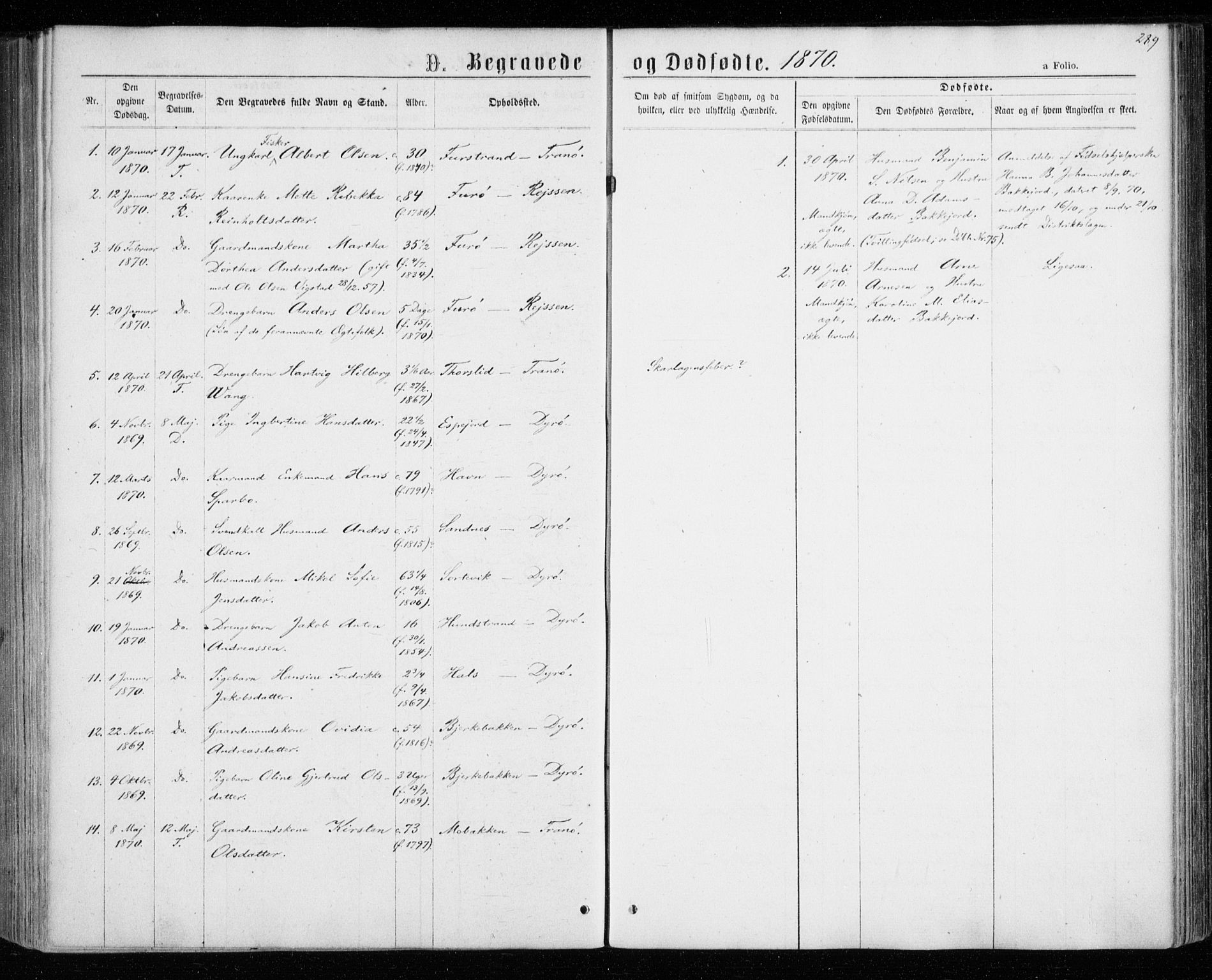 Tranøy sokneprestkontor, AV/SATØ-S-1313/I/Ia/Iaa/L0008kirke: Ministerialbok nr. 8, 1867-1877, s. 289