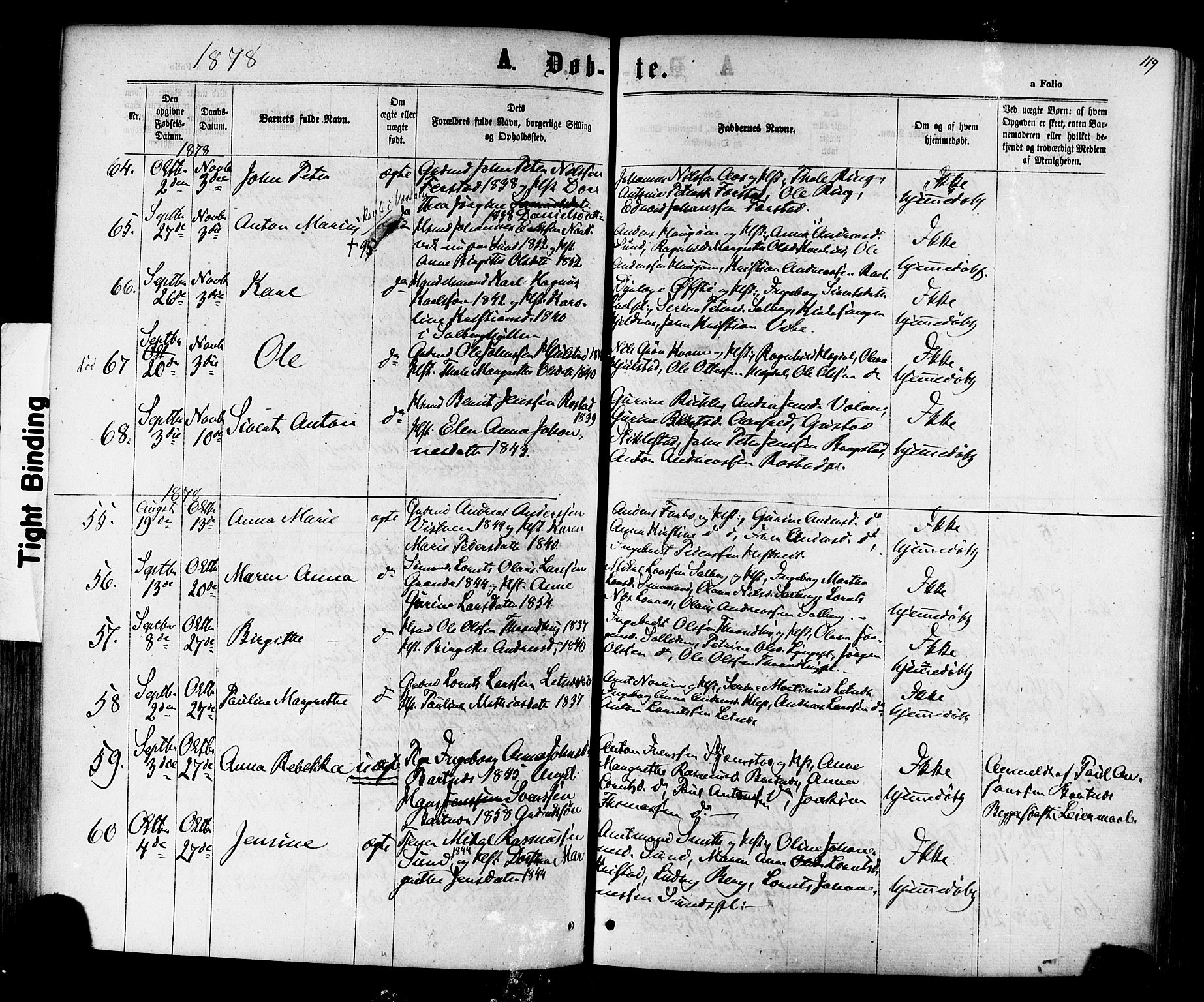 Ministerialprotokoller, klokkerbøker og fødselsregistre - Nord-Trøndelag, SAT/A-1458/730/L0284: Ministerialbok nr. 730A09, 1866-1878, s. 119