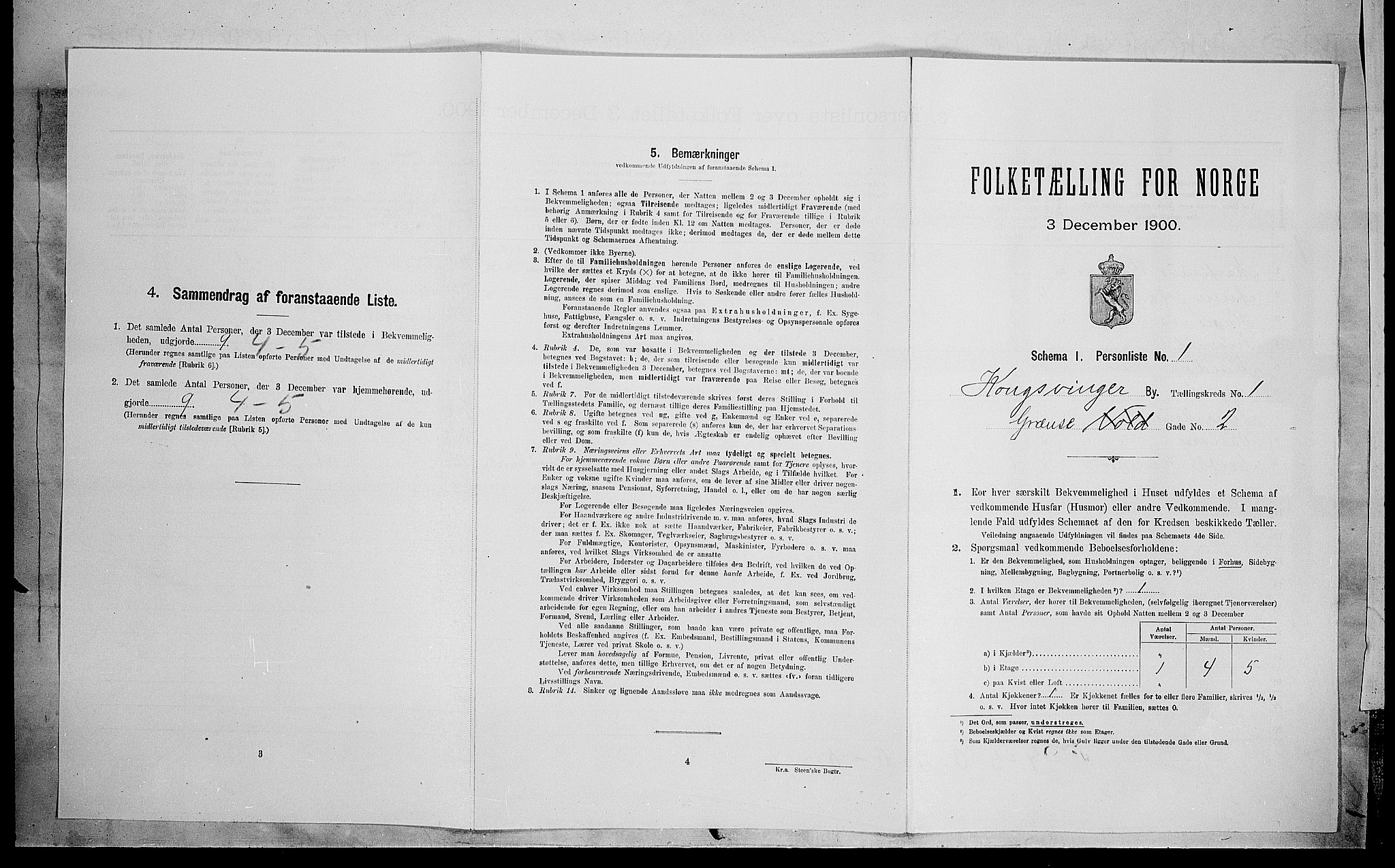 SAH, Folketelling 1900 for 0402 Kongsvinger kjøpstad, 1900, s. 256