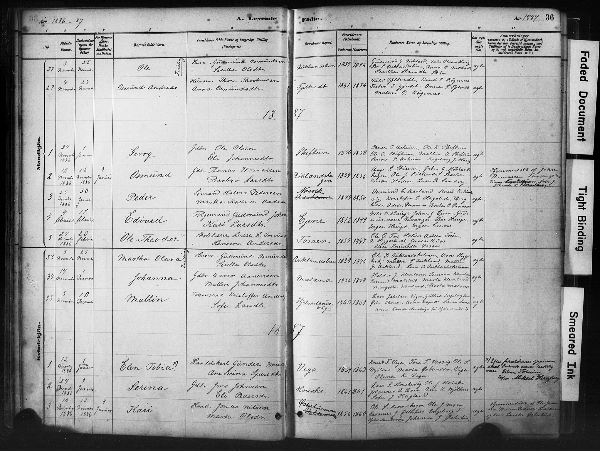 Hjelmeland sokneprestkontor, AV/SAST-A-101843/01/IV/L0014: Ministerialbok nr. A 14, 1879-1900, s. 36