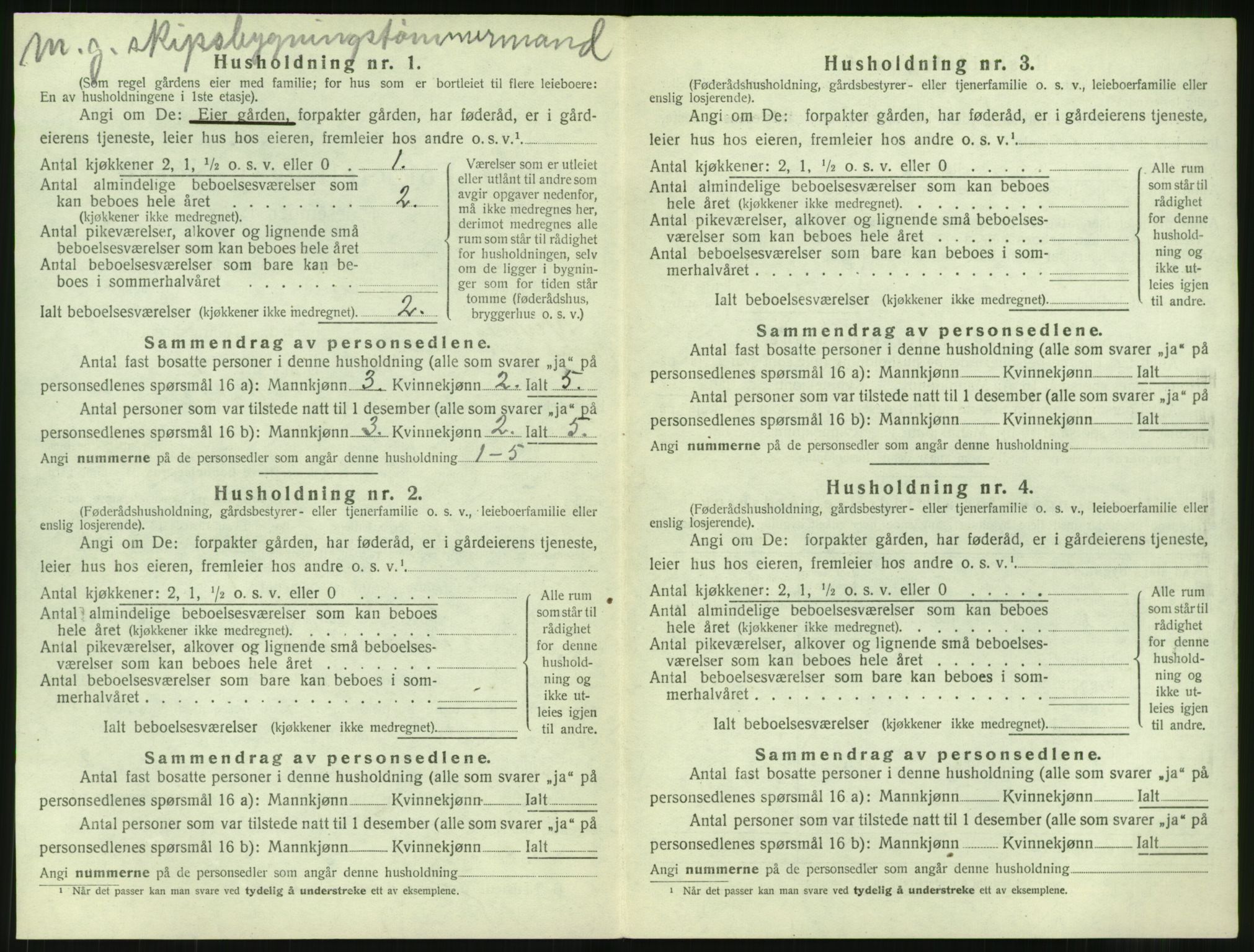 SAT, Folketelling 1920 for 1535 Vestnes herred, 1920, s. 306