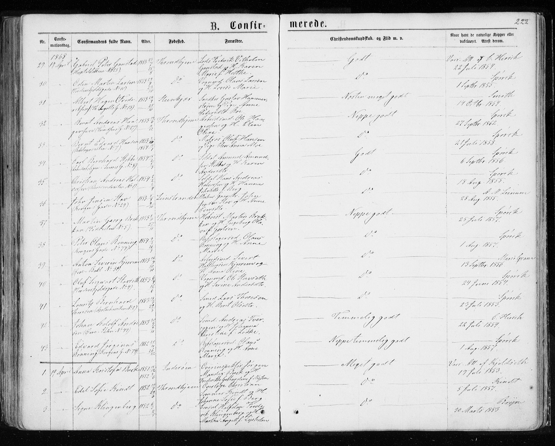 Ministerialprotokoller, klokkerbøker og fødselsregistre - Sør-Trøndelag, AV/SAT-A-1456/601/L0054: Ministerialbok nr. 601A22, 1866-1877, s. 222