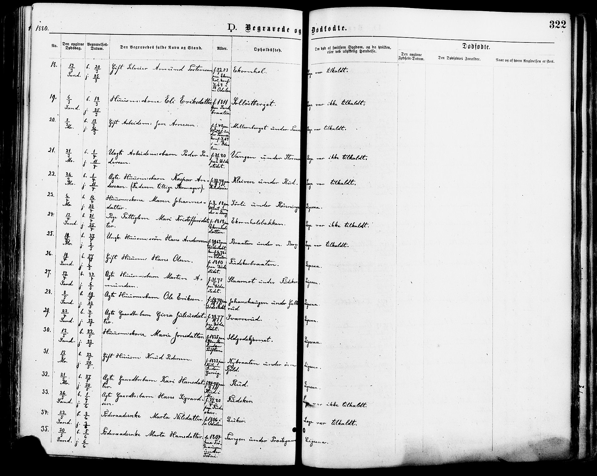 Nord-Odal prestekontor, AV/SAH-PREST-032/H/Ha/Haa/L0005: Ministerialbok nr. 5, 1874-1885, s. 322