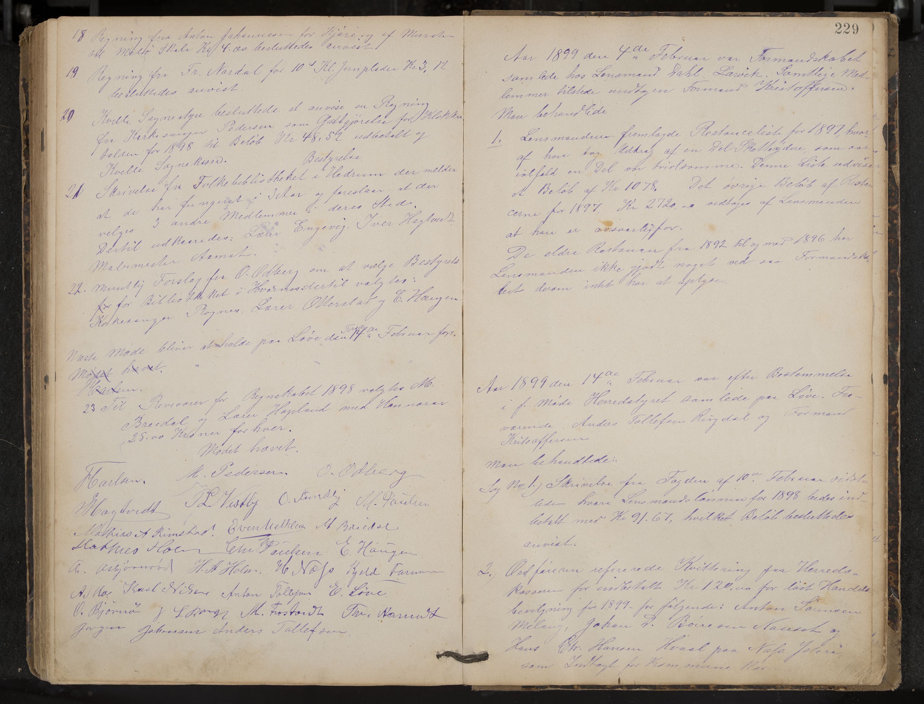 Hedrum formannskap og sentraladministrasjon, IKAK/0727021/A/Aa/L0004: Møtebok, 1888-1899, s. 229