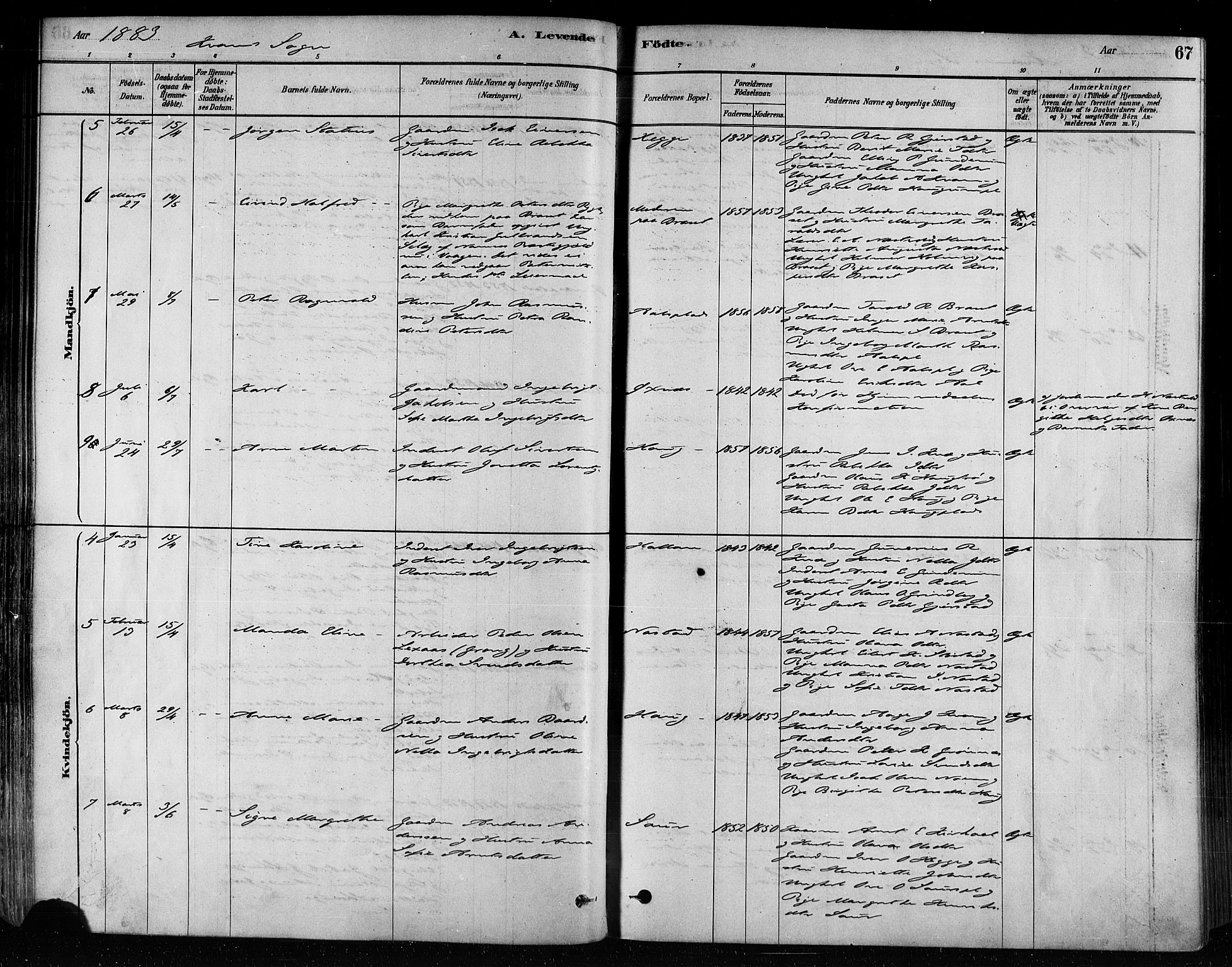 Ministerialprotokoller, klokkerbøker og fødselsregistre - Nord-Trøndelag, SAT/A-1458/746/L0449: Ministerialbok nr. 746A07 /2, 1878-1899, s. 67
