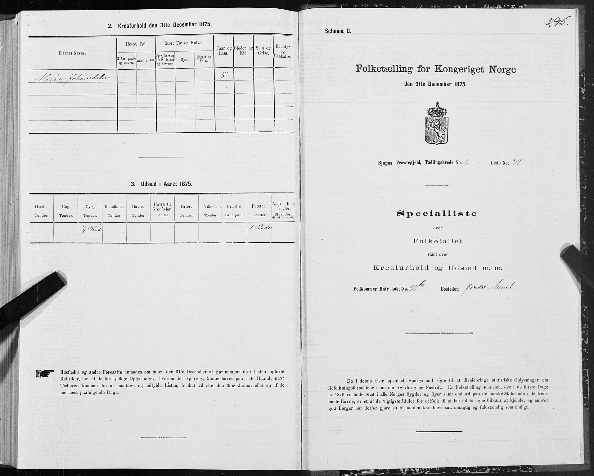 SAT, Folketelling 1875 for 1627P Bjugn prestegjeld, 1875, s. 3295