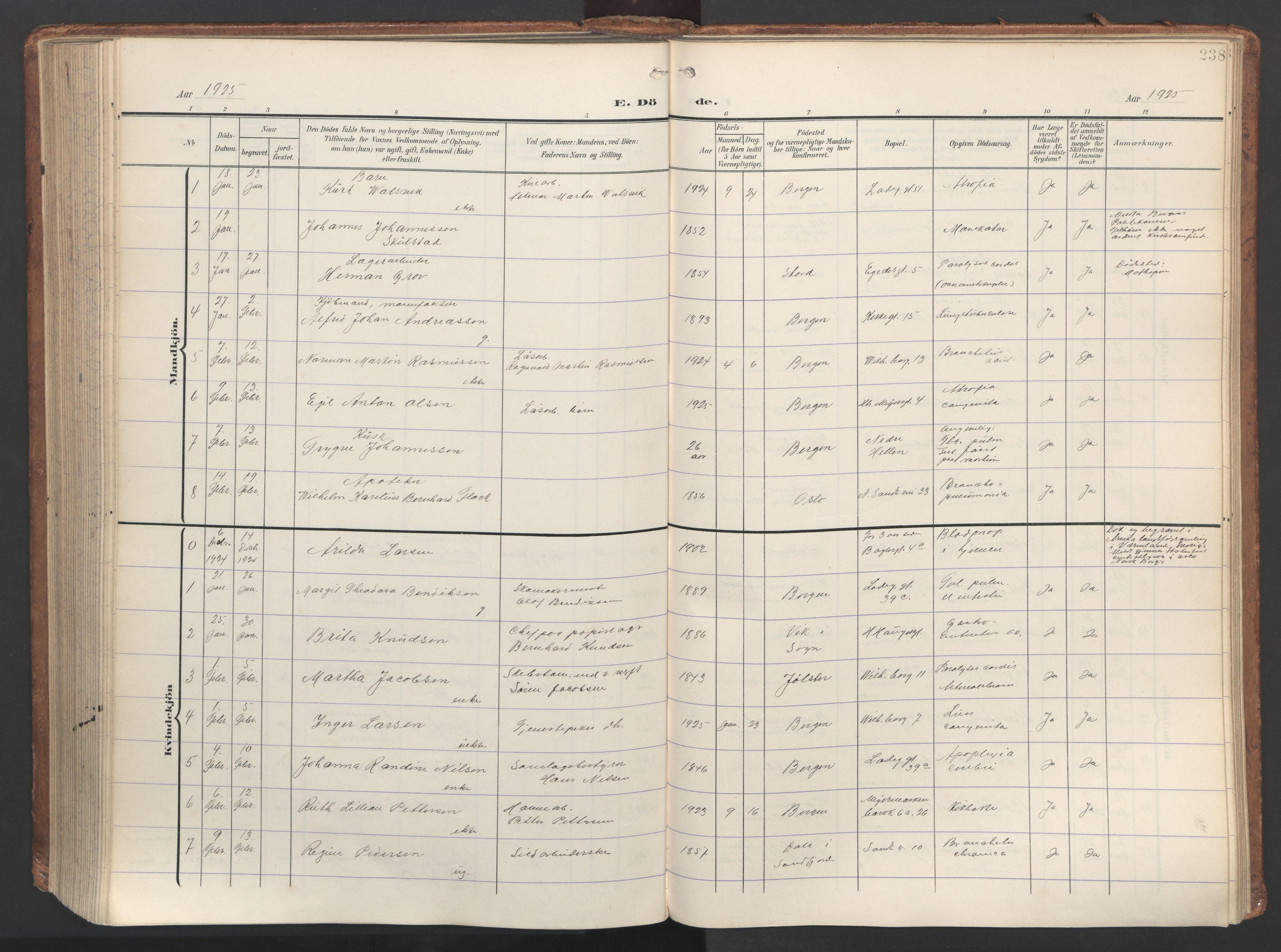 Sandviken Sokneprestembete, SAB/A-77601/H/Ha/L0019: Ministerialbok nr. E 2, 1905-1933, s. 238