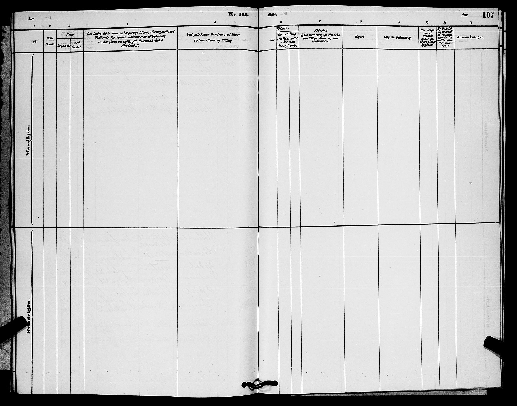 Rollag kirkebøker, AV/SAKO-A-240/G/Gb/L0002: Klokkerbok nr. II 2, 1878-1898, s. 107