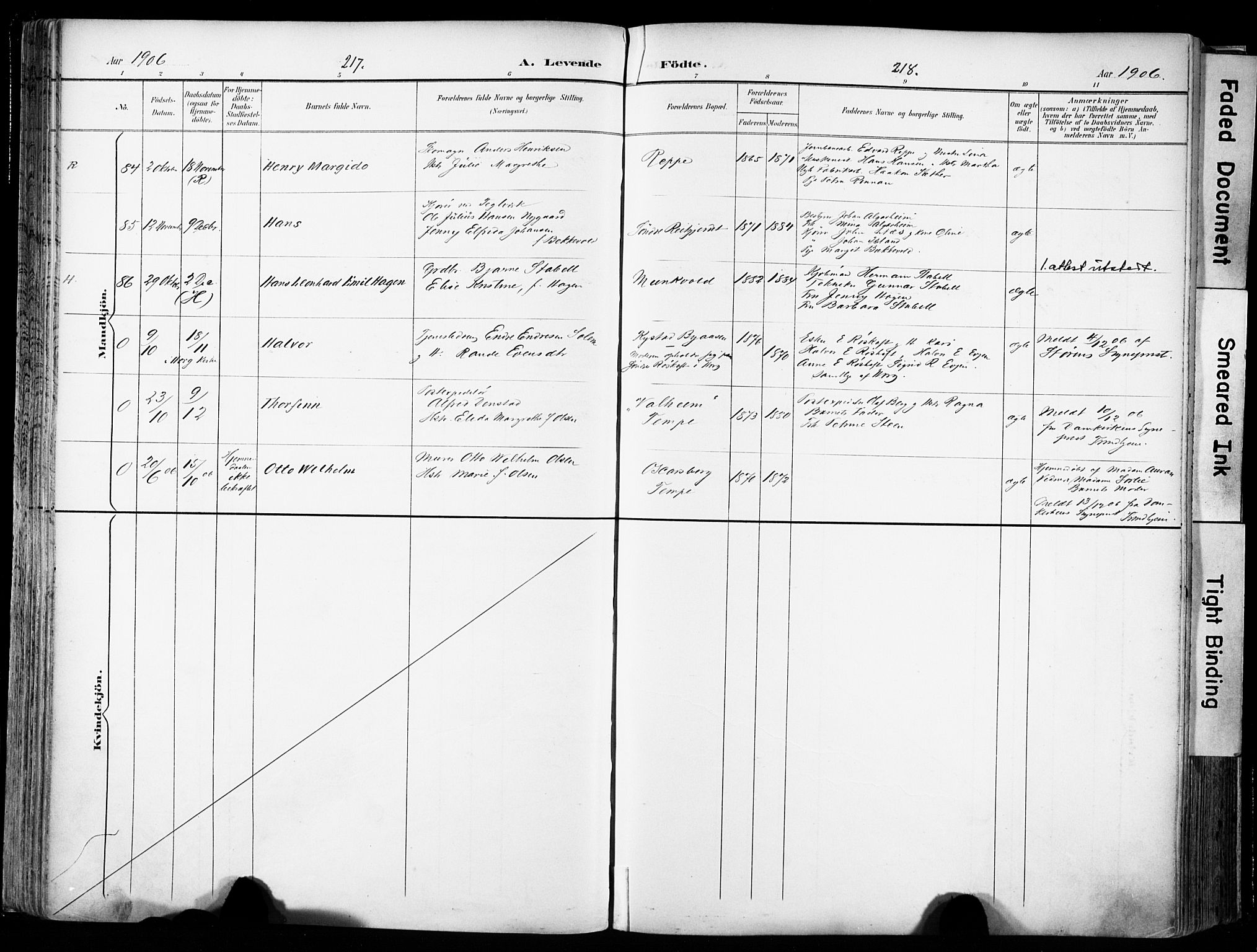 Ministerialprotokoller, klokkerbøker og fødselsregistre - Sør-Trøndelag, SAT/A-1456/606/L0301: Ministerialbok nr. 606A16, 1894-1907, s. 217-218