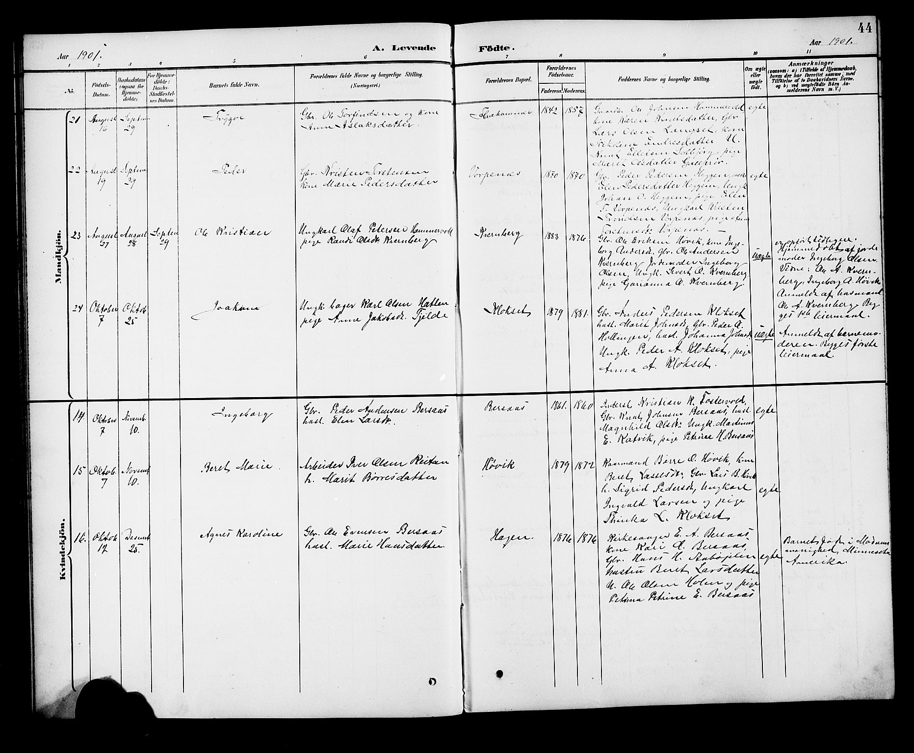 Ministerialprotokoller, klokkerbøker og fødselsregistre - Møre og Romsdal, AV/SAT-A-1454/551/L0632: Klokkerbok nr. 551C04, 1894-1920, s. 44