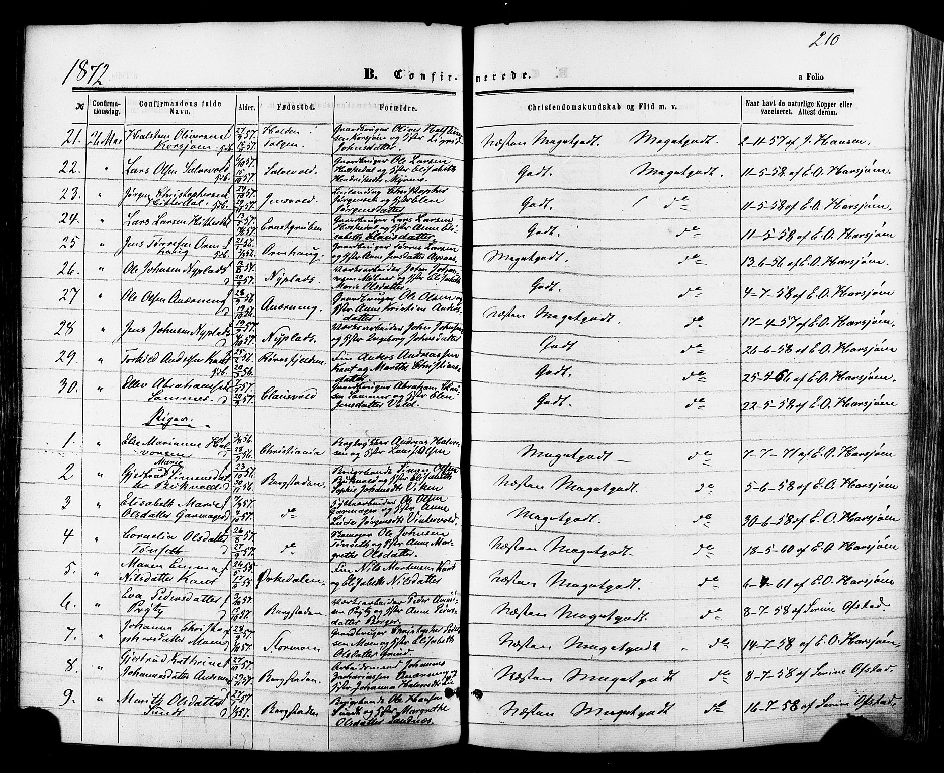 Ministerialprotokoller, klokkerbøker og fødselsregistre - Sør-Trøndelag, SAT/A-1456/681/L0932: Ministerialbok nr. 681A10, 1860-1878, s. 210