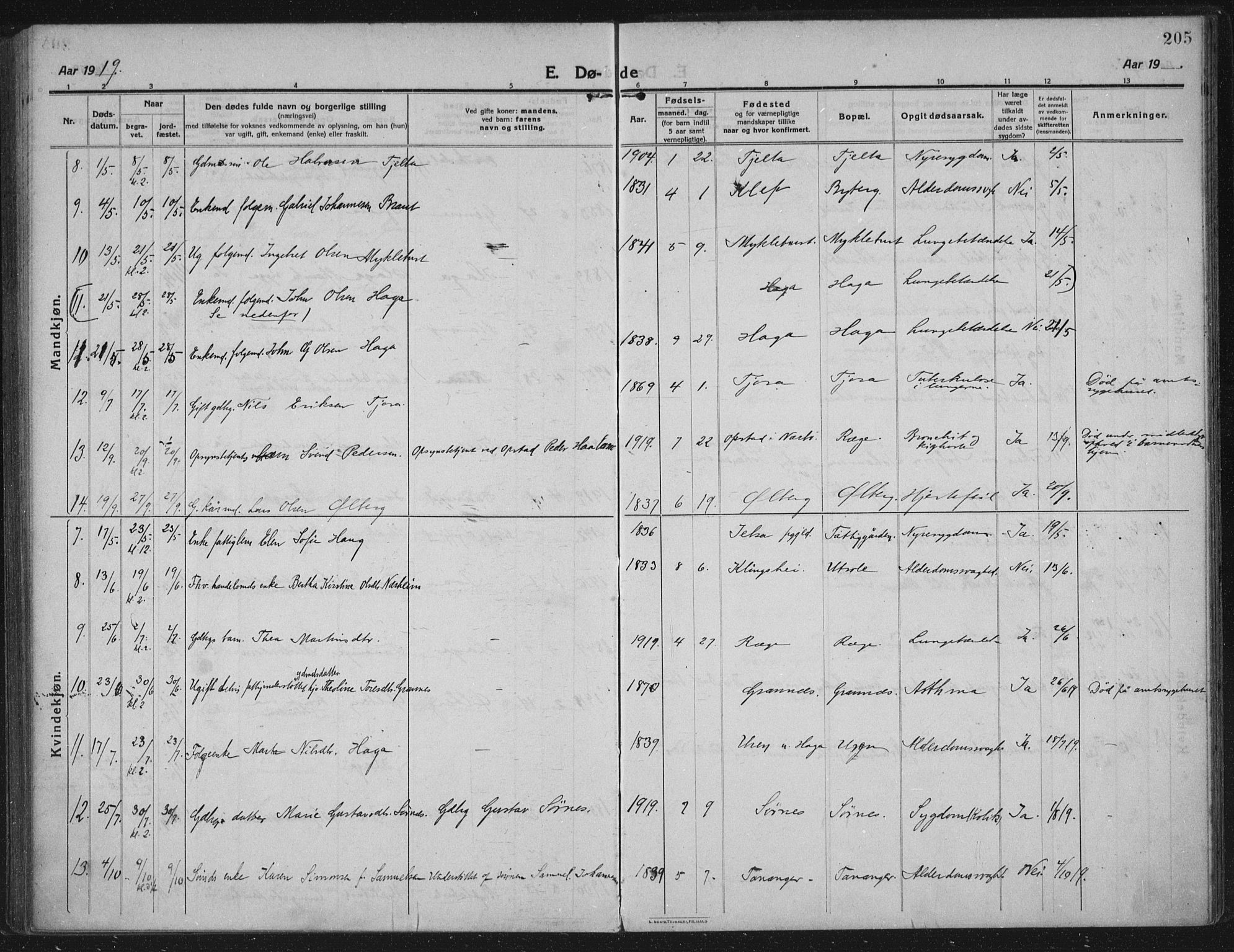 Håland sokneprestkontor, AV/SAST-A-101802/002/C/L0001: Ministerialbok nr. A 14, 1913-1927, s. 205