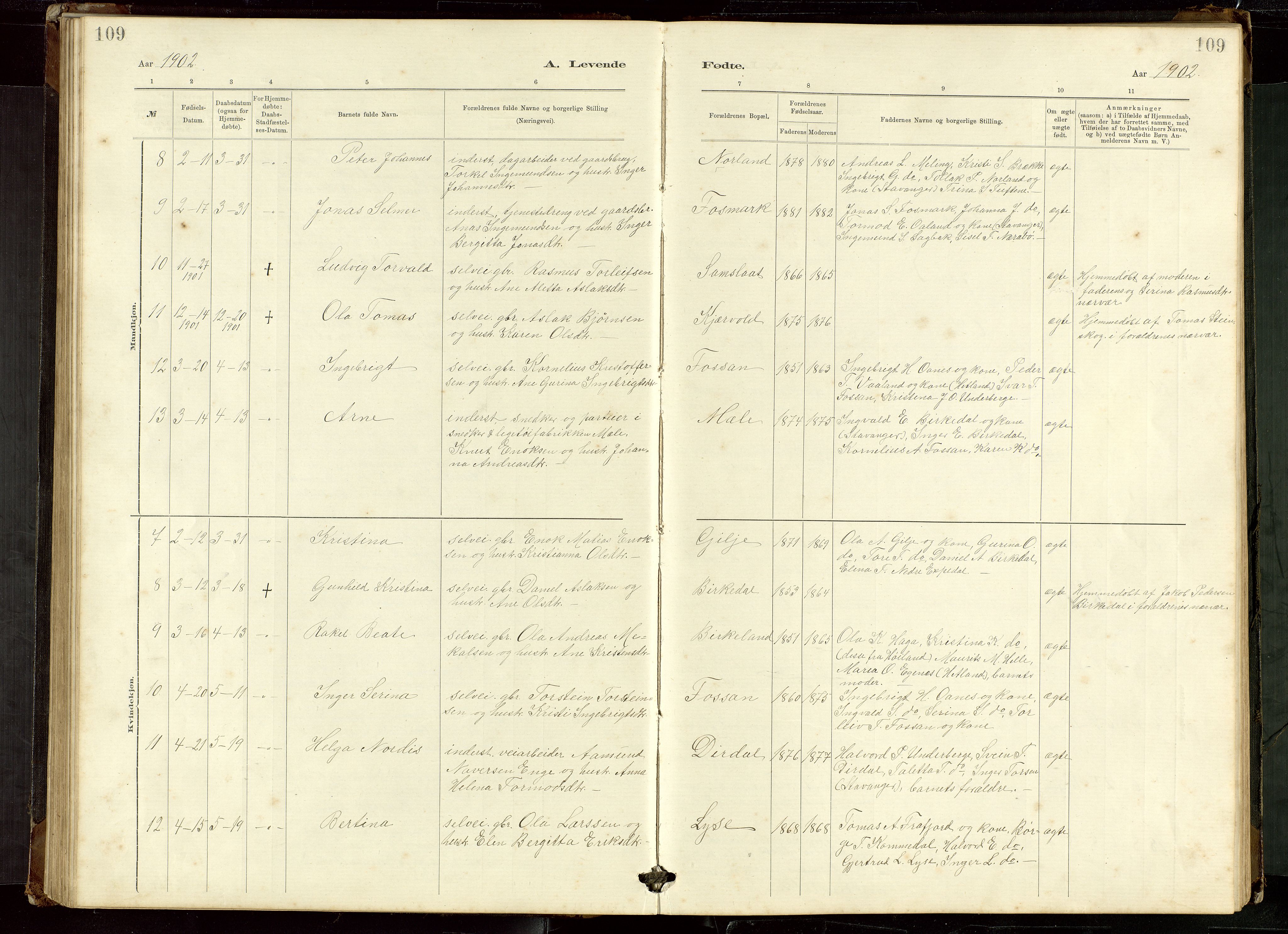 Høgsfjord sokneprestkontor, AV/SAST-A-101624/H/Ha/Hab/L0009: Klokkerbok nr. B 9, 1883-1920, s. 109