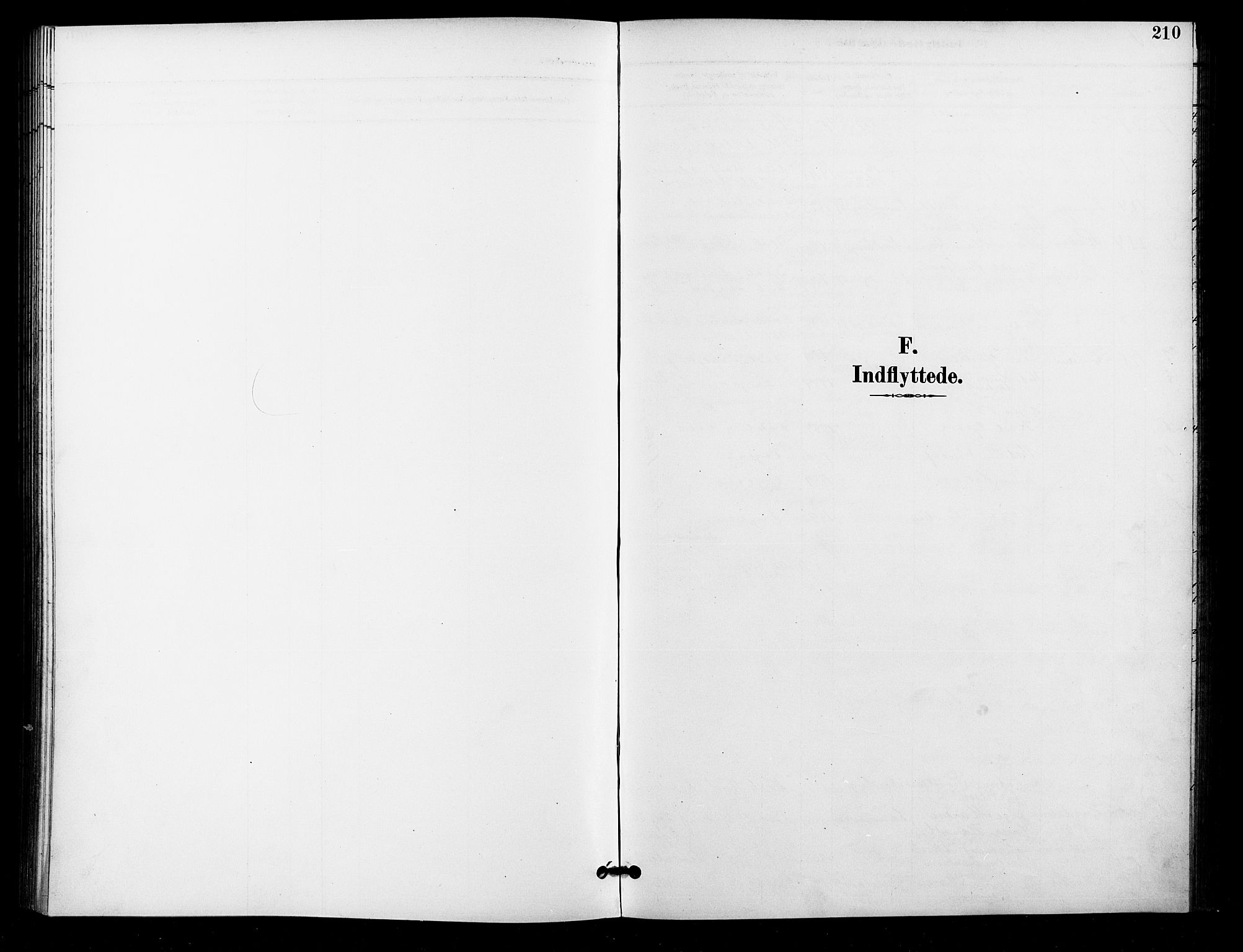 Grønland prestekontor Kirkebøker, AV/SAO-A-10848/F/Fa/L0011: Ministerialbok nr. 11, 1892-1907, s. 210