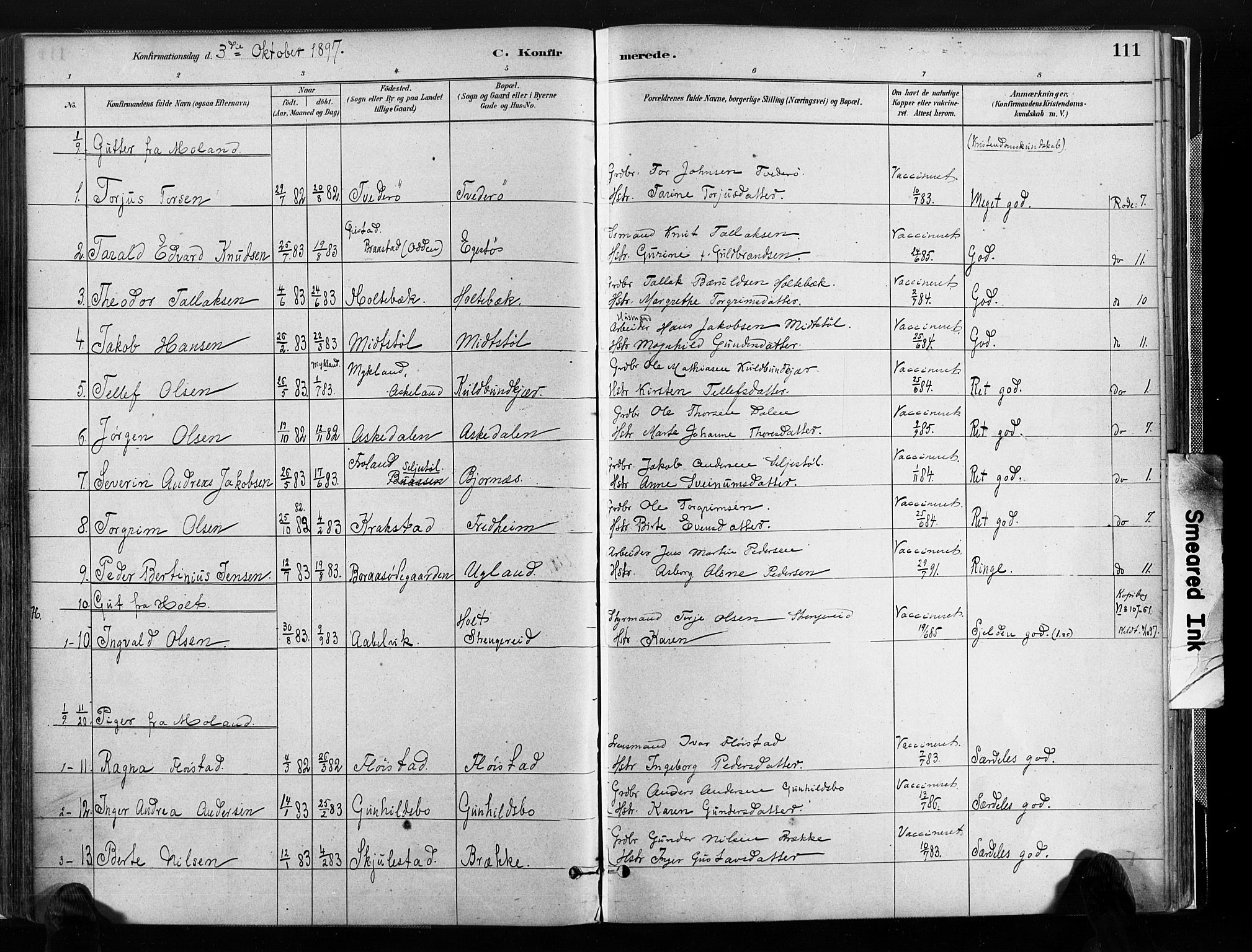 Austre Moland sokneprestkontor, AV/SAK-1111-0001/F/Fa/Faa/L0010: Ministerialbok nr. A 10, 1880-1904, s. 111