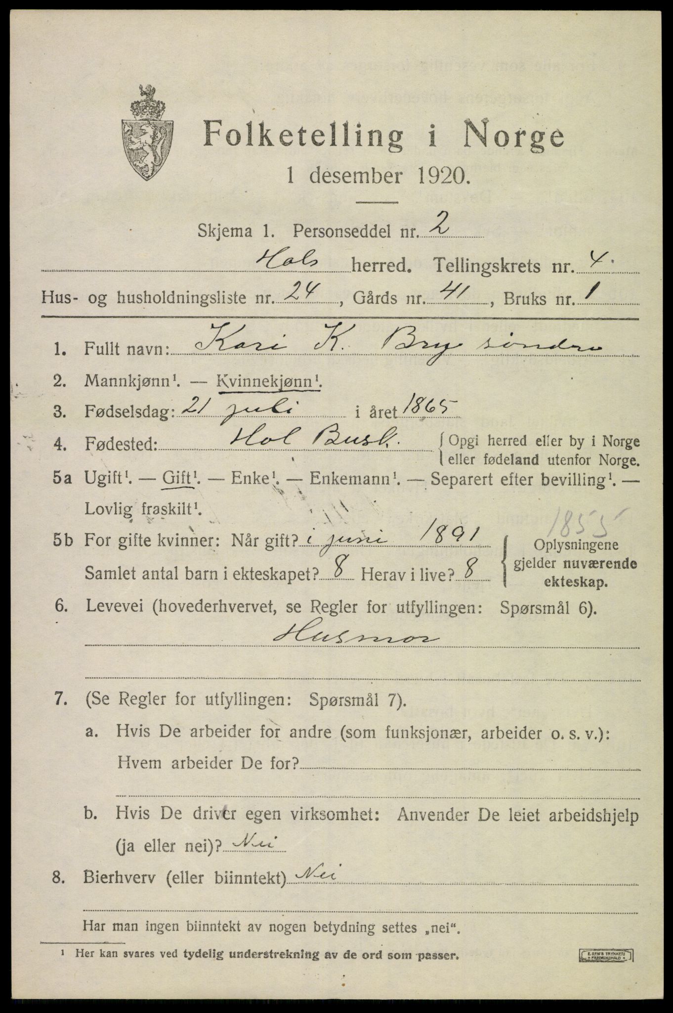 SAKO, Folketelling 1920 for 0620 Hol herred, 1920, s. 2691