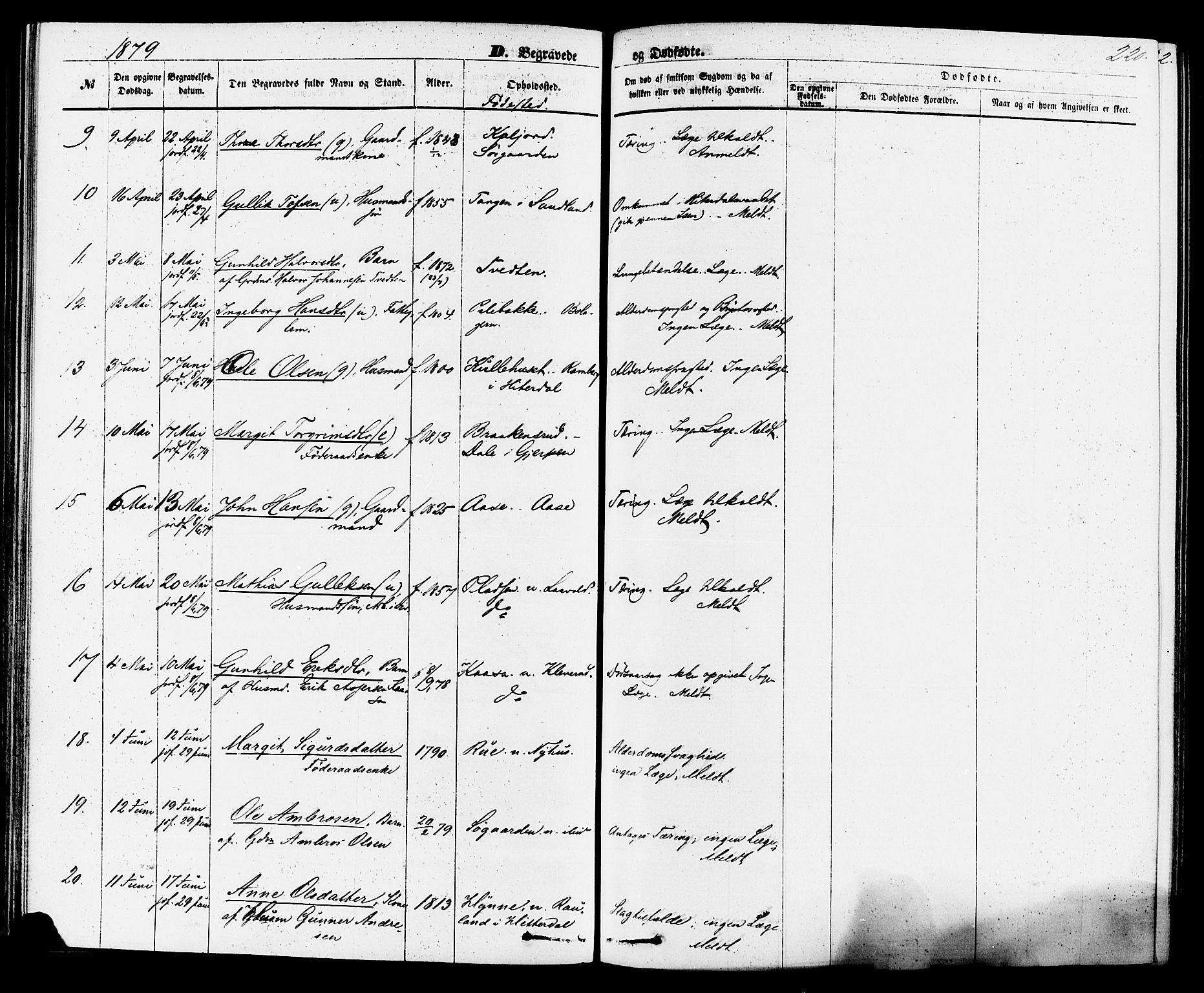 Sauherad kirkebøker, AV/SAKO-A-298/F/Fa/L0008: Ministerialbok nr. I 8, 1873-1886, s. 220