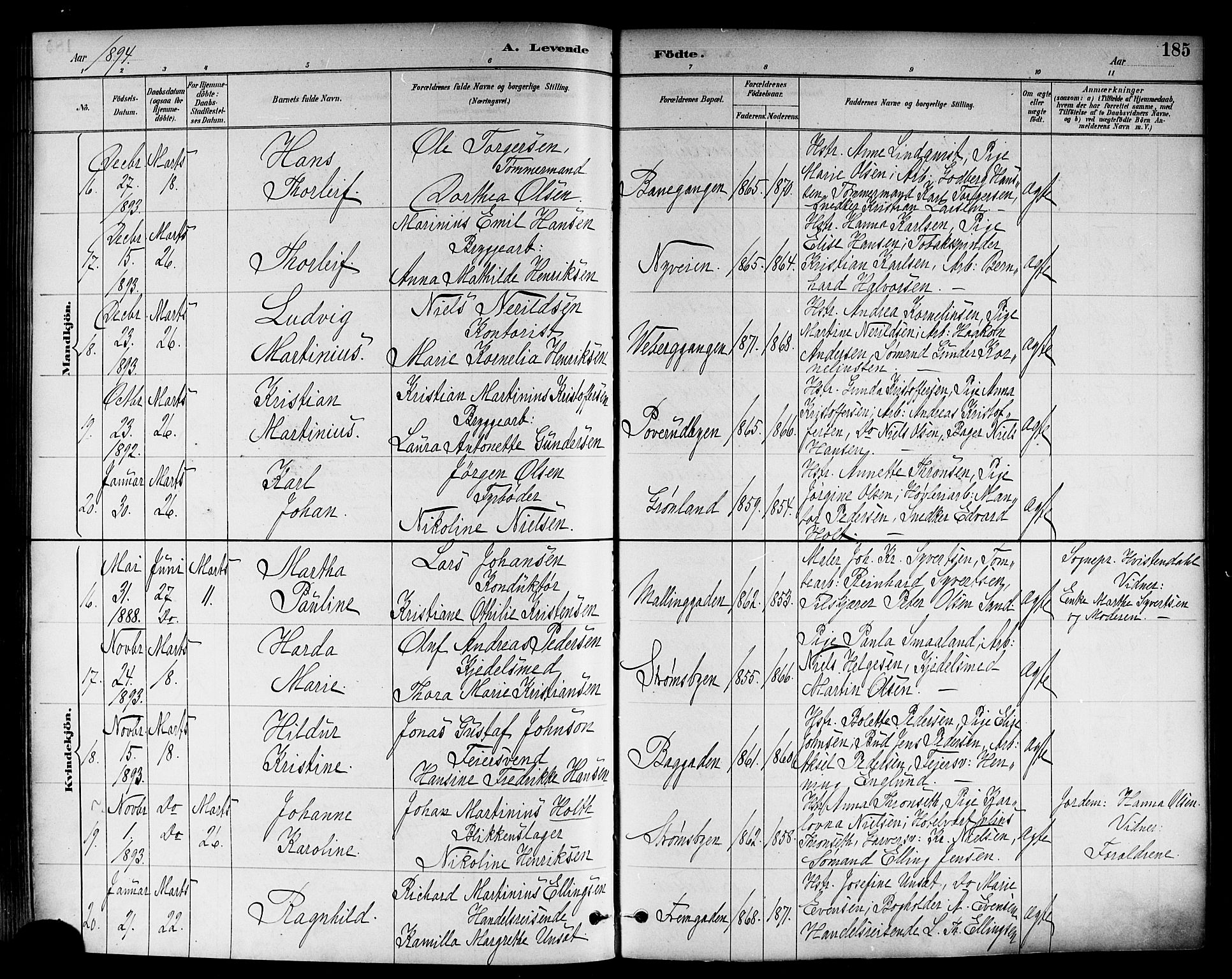 Strømsø kirkebøker, AV/SAKO-A-246/F/Fa/L0023: Ministerialbok nr. I 23, 1885-1894, s. 185