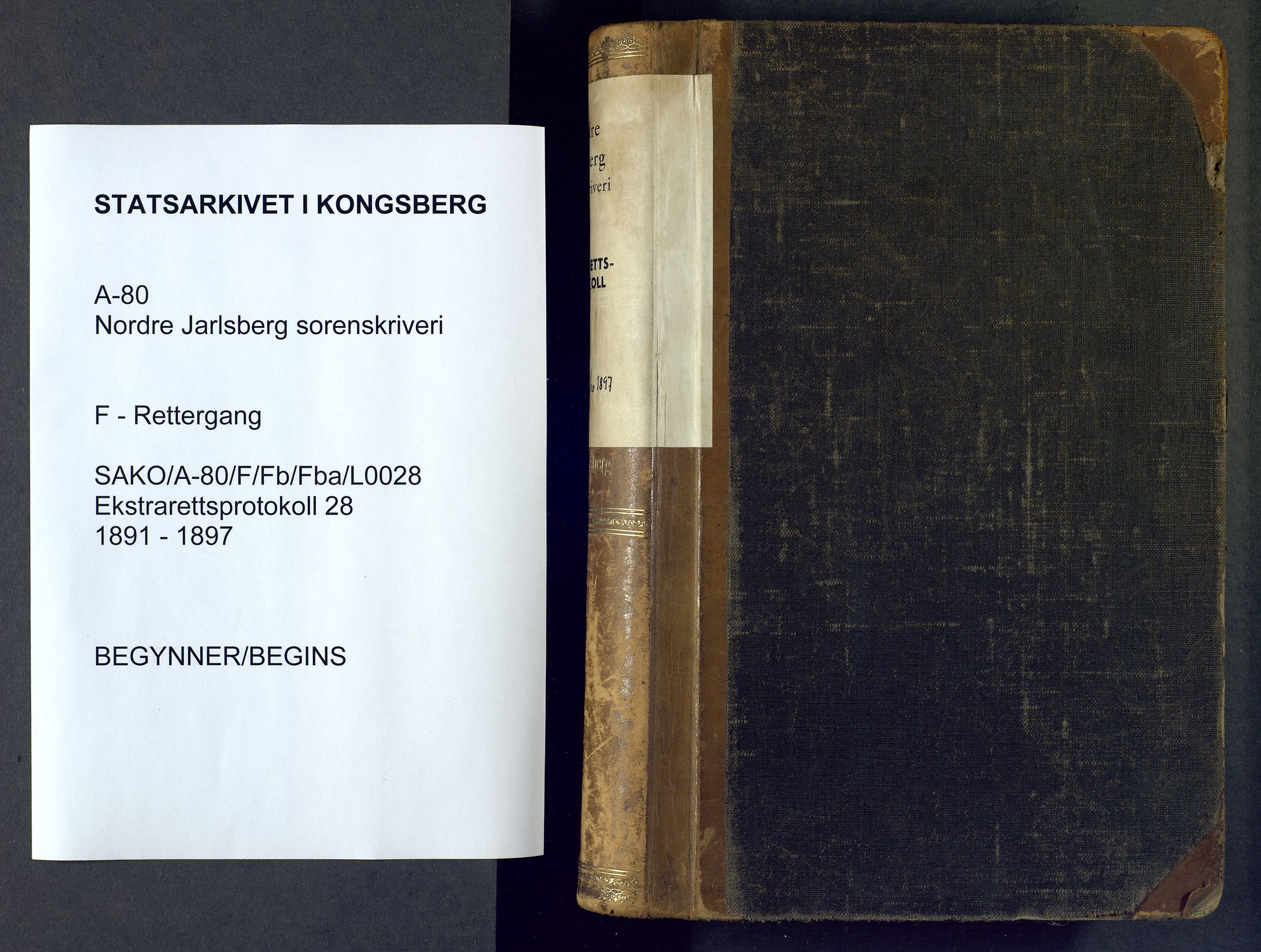 Nordre Jarlsberg sorenskriveri, AV/SAKO-A-80/F/Fb/Fba/L0028: Ekstrarettsprotokoll, 1891-1897