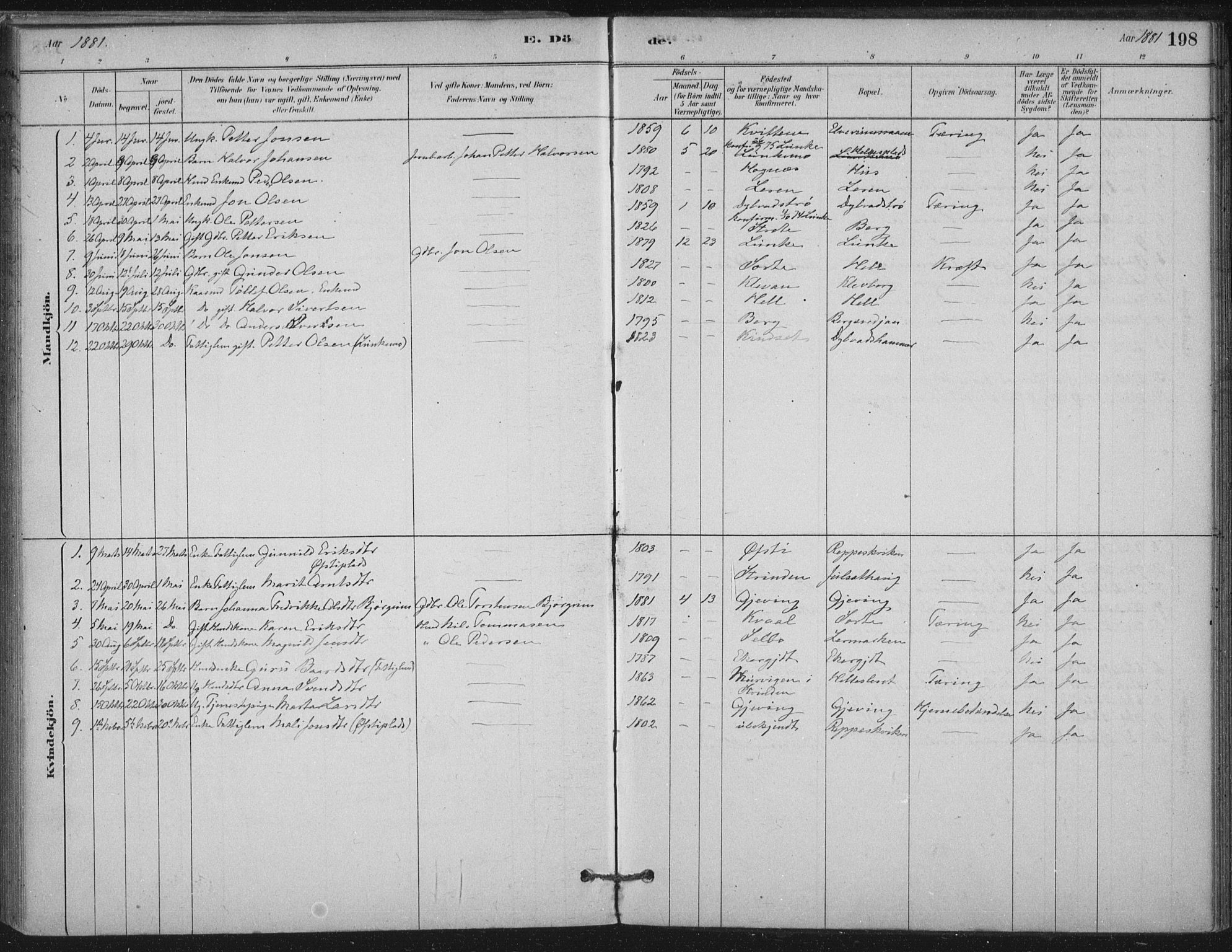 Ministerialprotokoller, klokkerbøker og fødselsregistre - Nord-Trøndelag, SAT/A-1458/710/L0095: Ministerialbok nr. 710A01, 1880-1914, s. 198