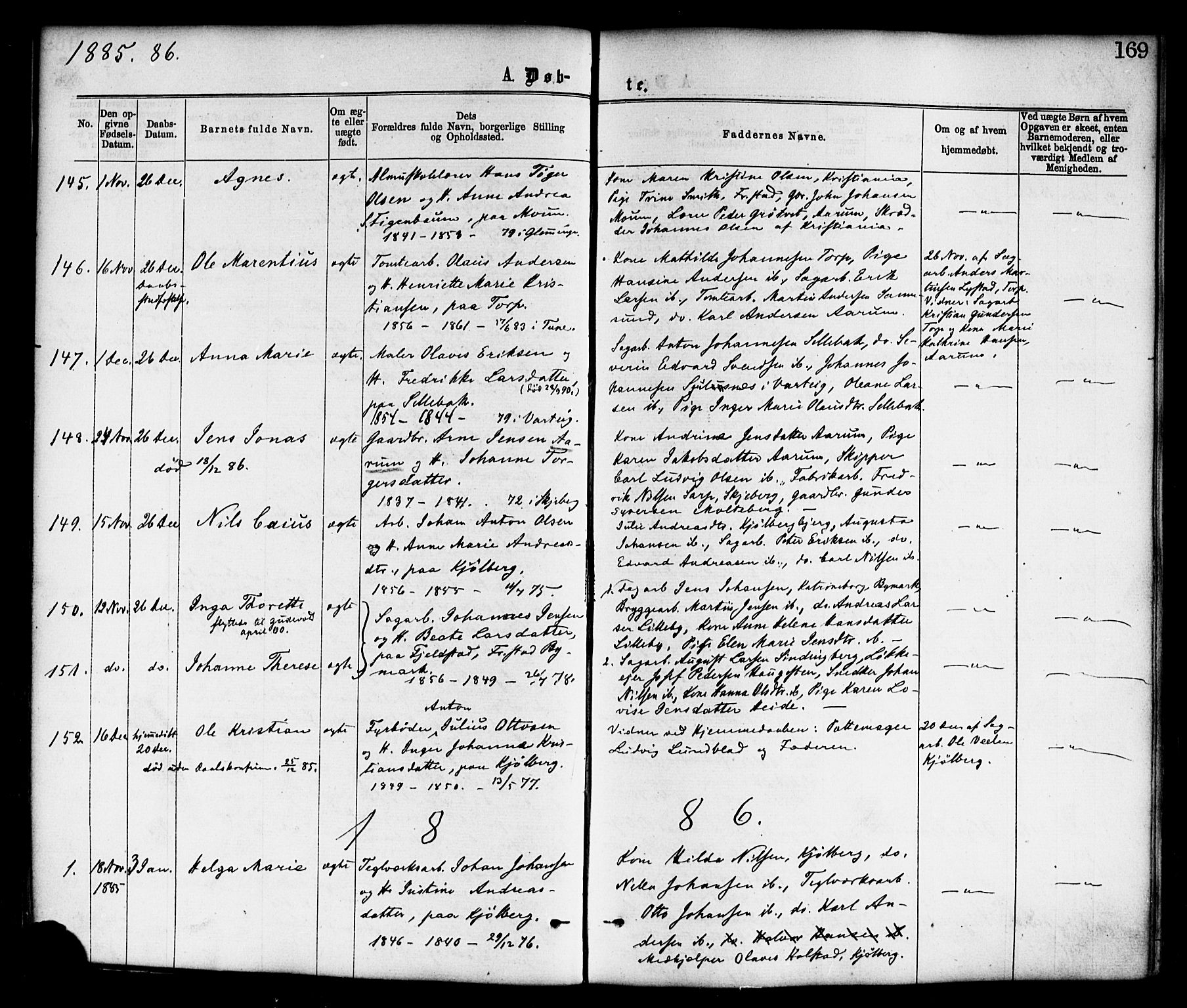 Borge prestekontor Kirkebøker, AV/SAO-A-10903/F/Fa/L0007: Ministerialbok nr. I 7, 1875-1886, s. 169