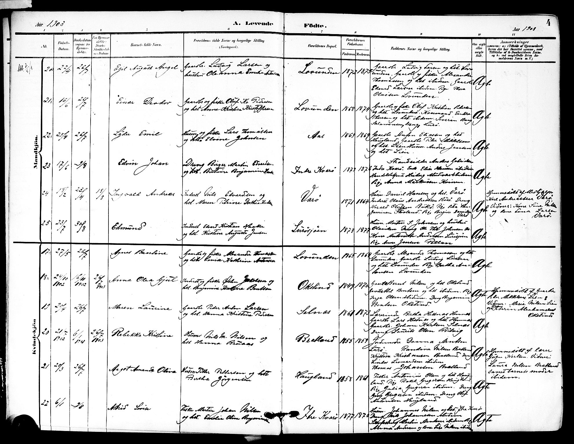 Ministerialprotokoller, klokkerbøker og fødselsregistre - Nordland, AV/SAT-A-1459/839/L0569: Ministerialbok nr. 839A06, 1903-1922, s. 4