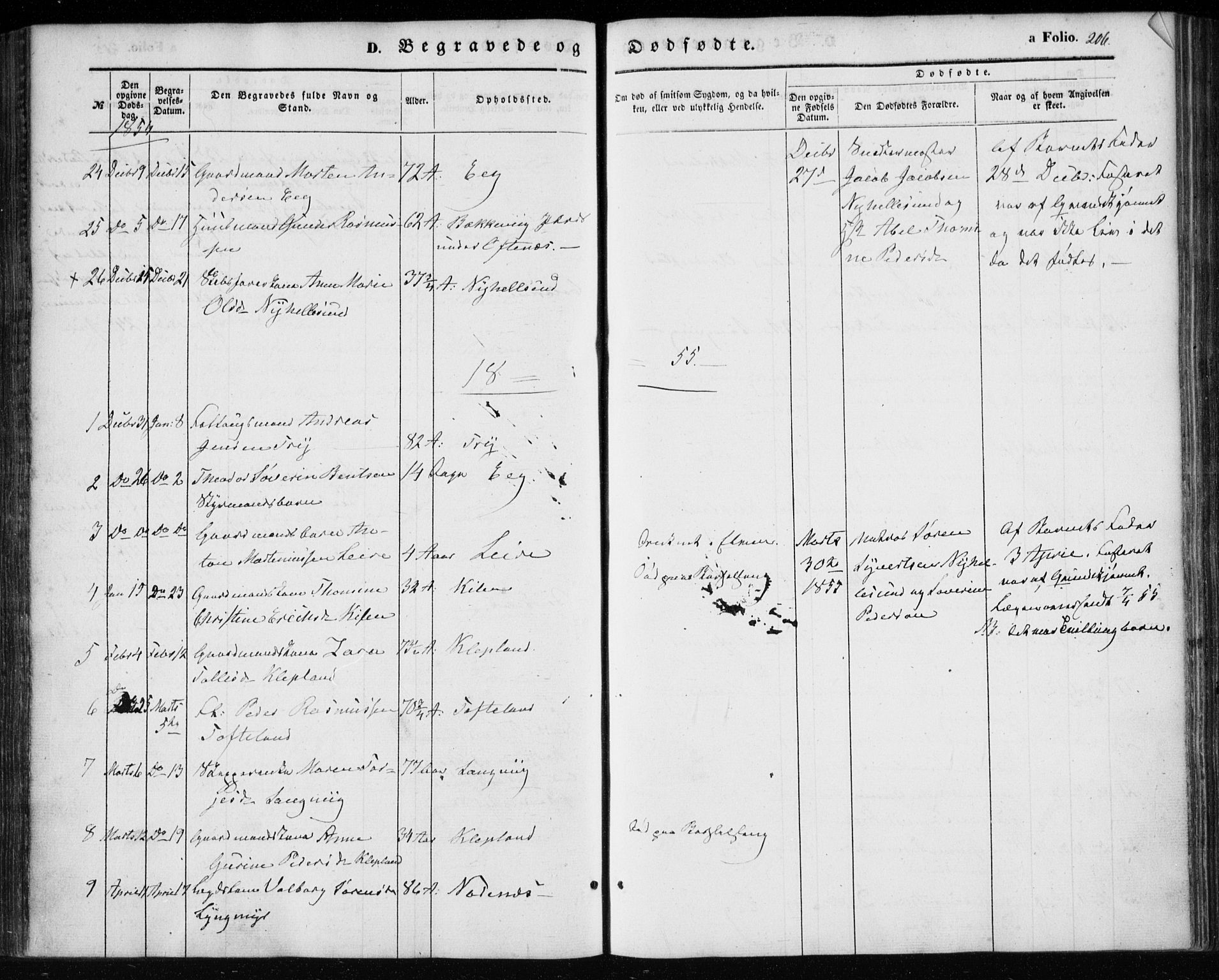 Søgne sokneprestkontor, AV/SAK-1111-0037/F/Fa/Fab/L0010: Ministerialbok nr. A 10, 1853-1869, s. 206