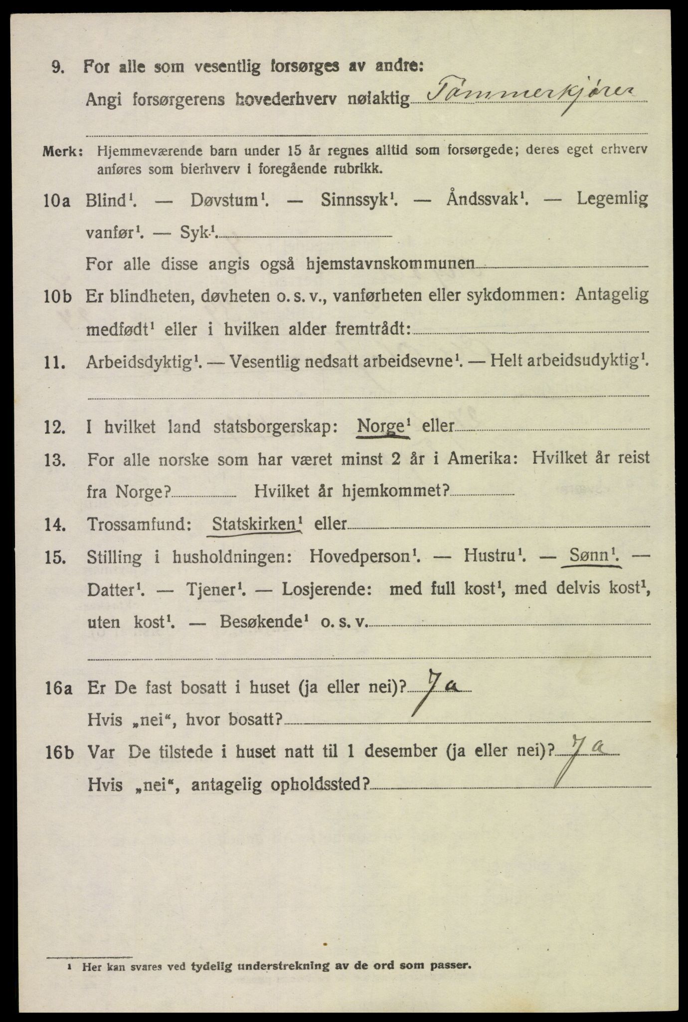 SAH, Folketelling 1920 for 0428 Trysil herred, 1920, s. 6240