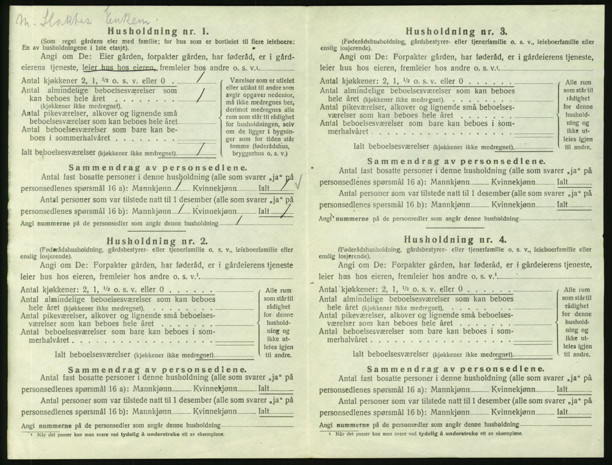 SAH, Folketelling 1920 for 0411 Nes herred, 1920, s. 1293