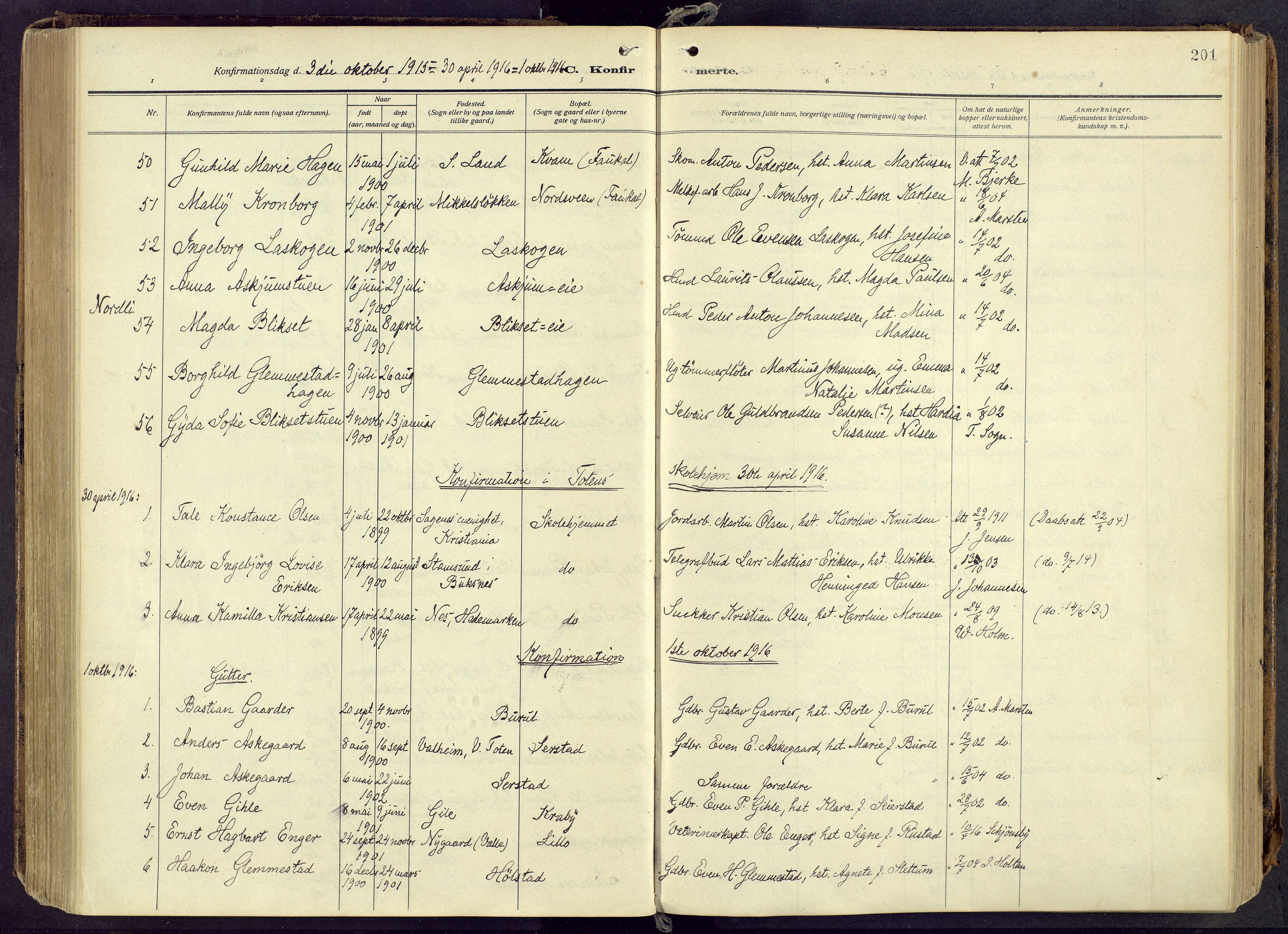 Østre Toten prestekontor, AV/SAH-PREST-104/H/Ha/Haa/L0010: Ministerialbok nr. 10, 1910-1920, s. 201