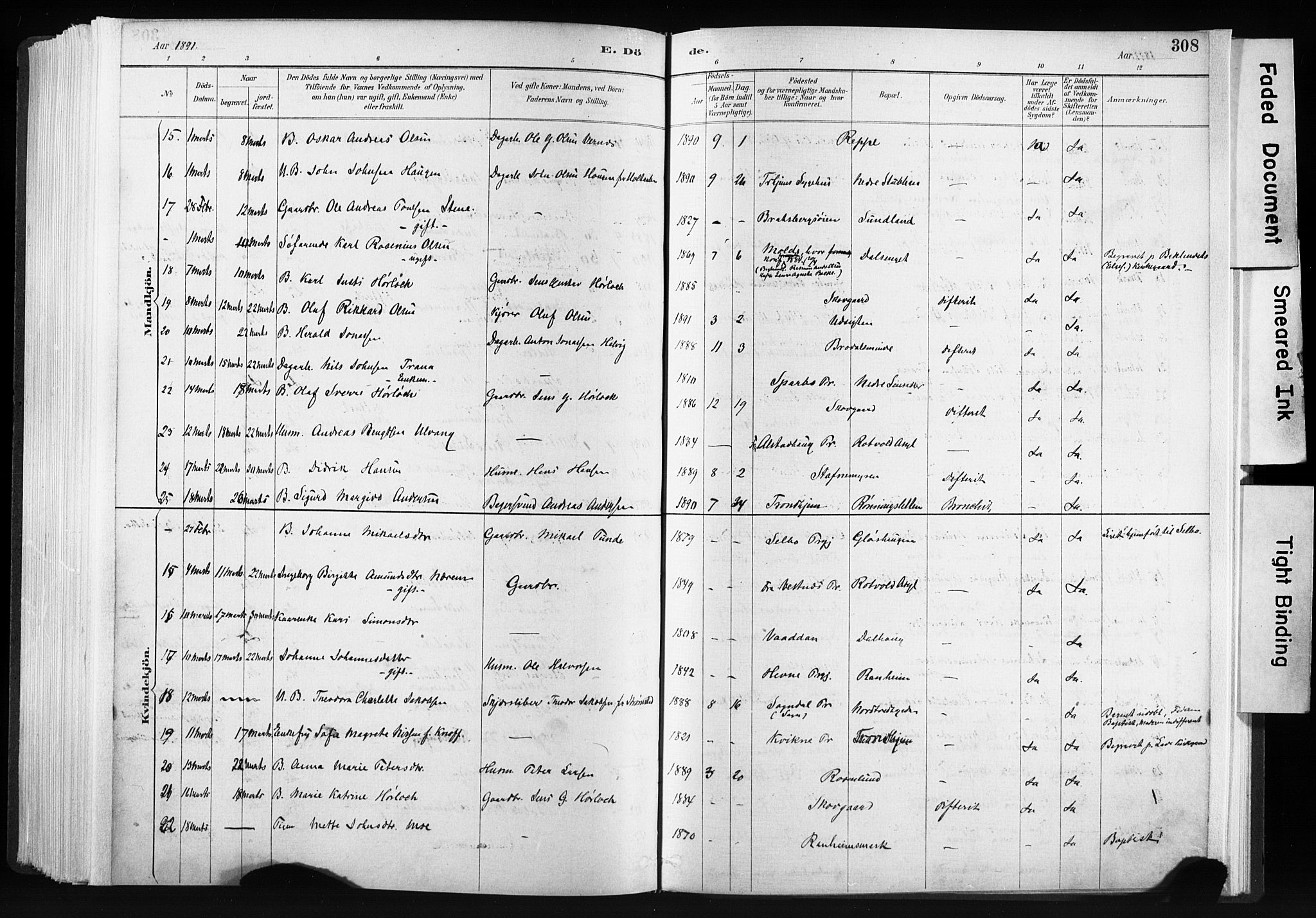 Ministerialprotokoller, klokkerbøker og fødselsregistre - Sør-Trøndelag, SAT/A-1456/606/L0300: Ministerialbok nr. 606A15, 1886-1893, s. 308