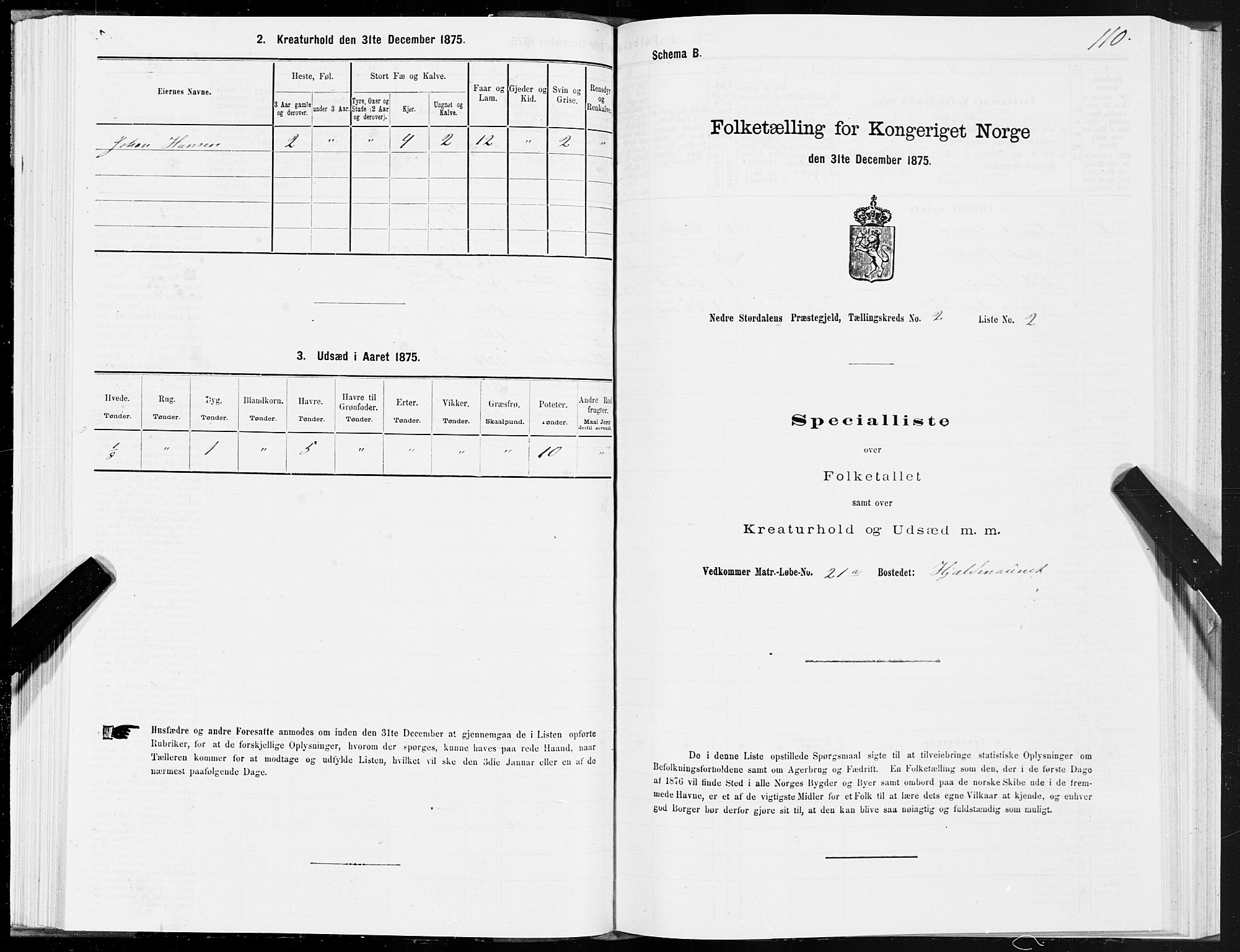 SAT, Folketelling 1875 for 1714P Nedre Stjørdal prestegjeld, 1875, s. 1110